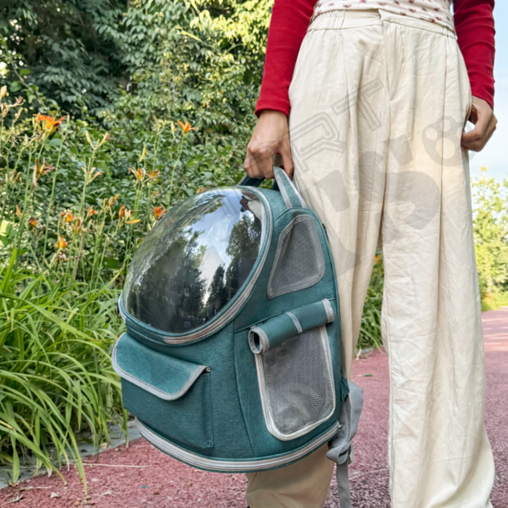 Smartpets draft 1 - 2026-01-13T170517.982