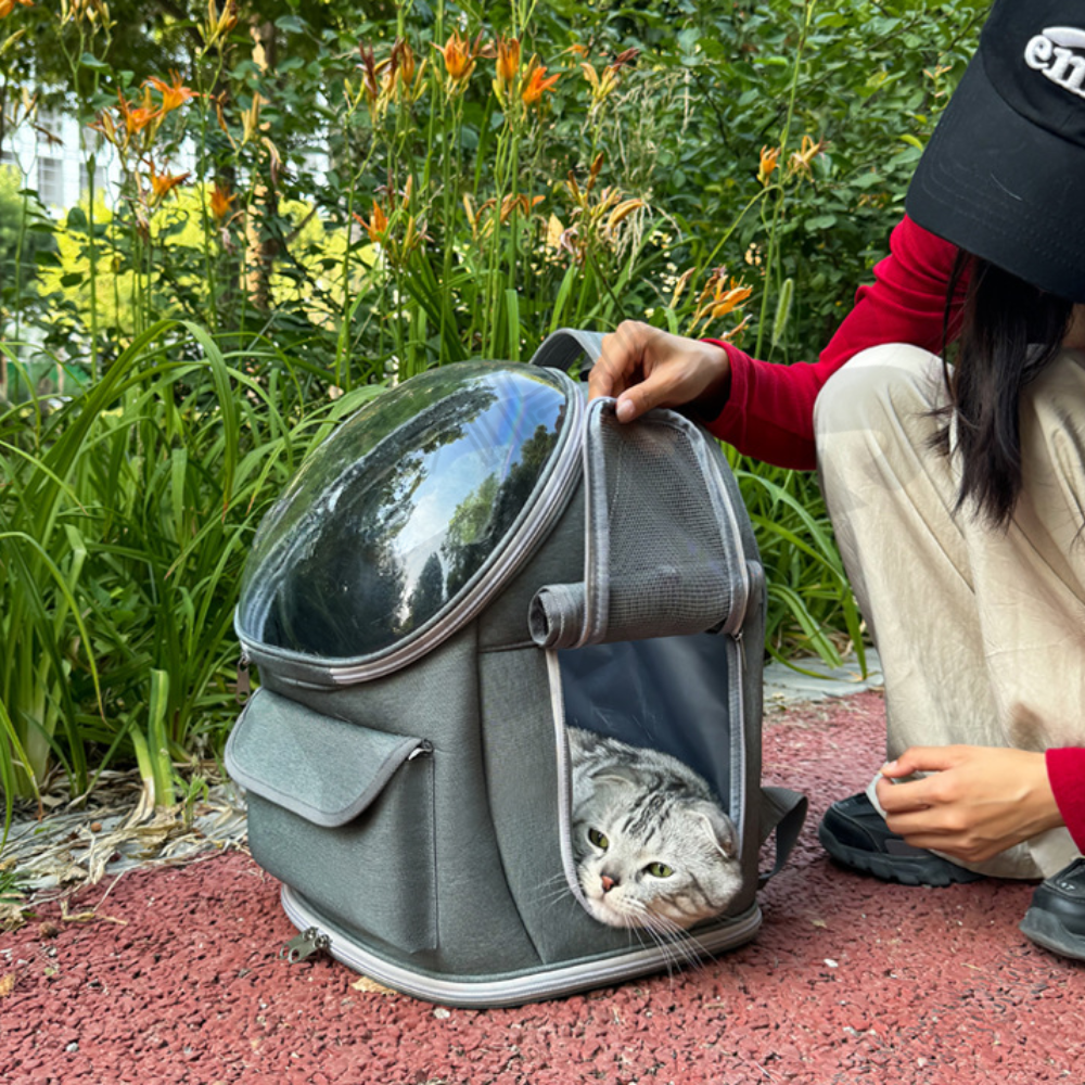 Smartpets draft 1 - 2026-01-13T170526.636