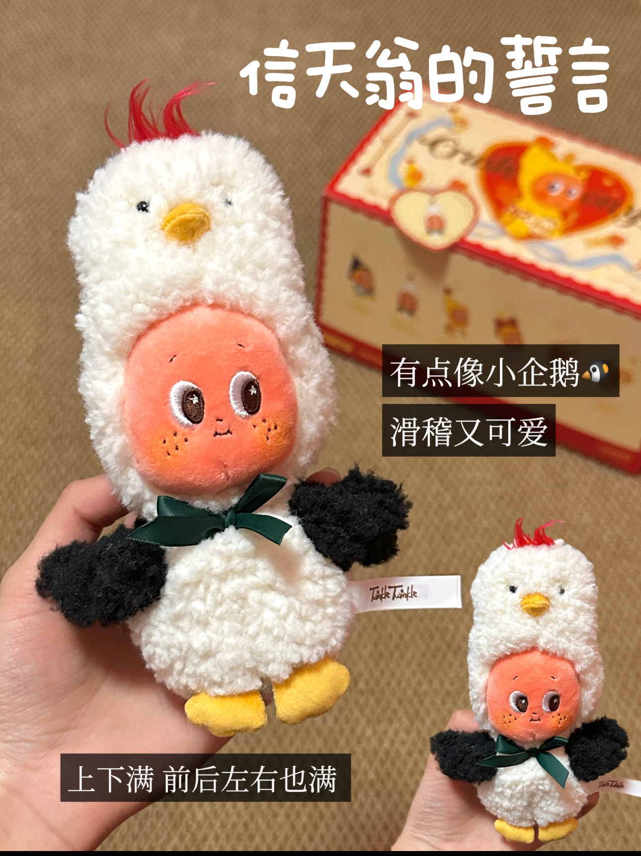 image_B177FE09-BA33-48FB-99A5-70A9C86815AD_1772521884