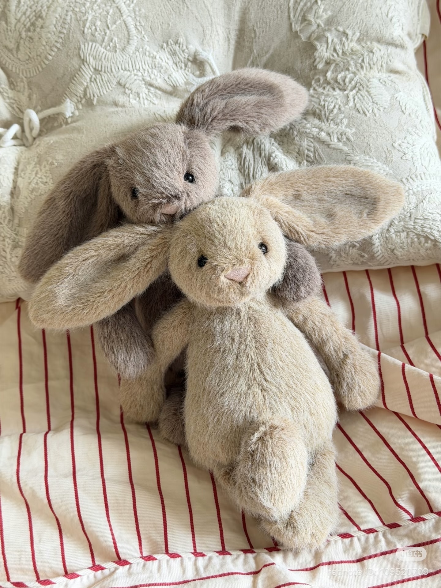 image_B11B252C-CCA5-4F17-8995-BE572910A862_1772528677