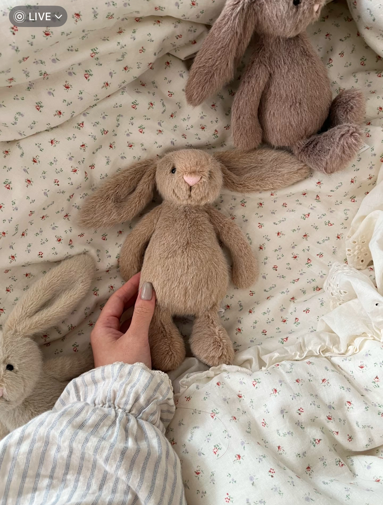 image_286FA114-F36F-45AE-921E-ABB3350DC16E_1772528677