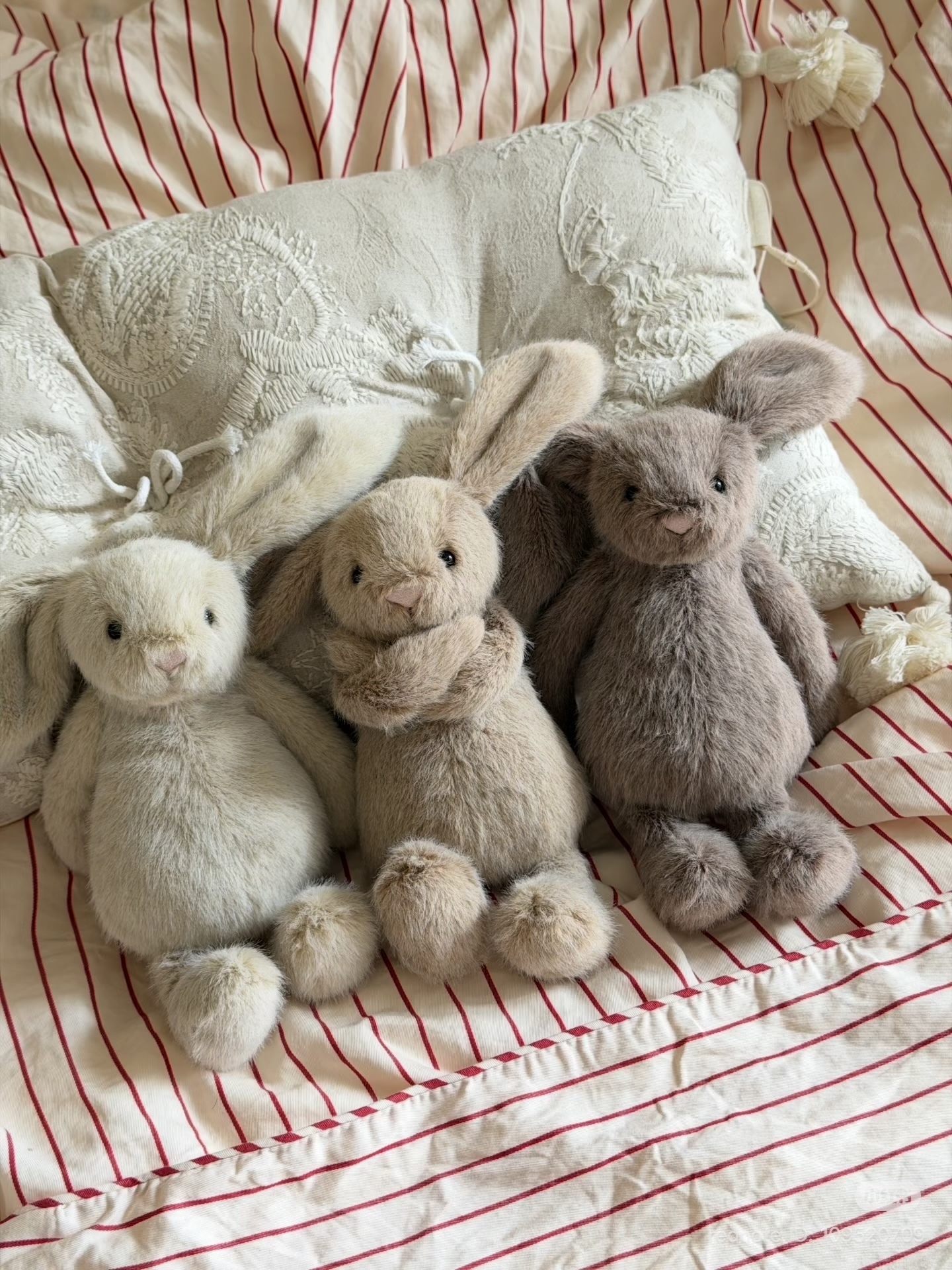 image_E8203D36-ADF0-4974-93B9-26896A02C054_1772528677