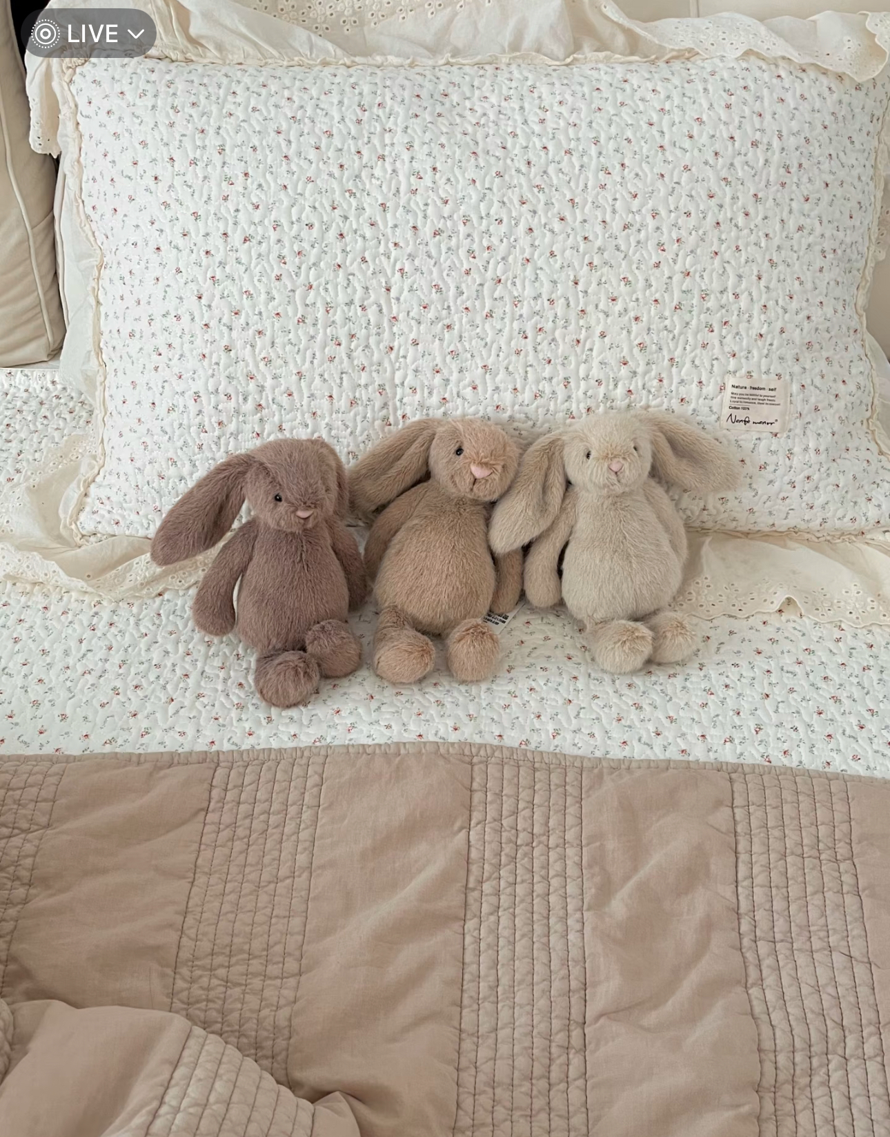 image_06A0B45E-DB6A-449C-9845-C341CDC169A4_1772528677