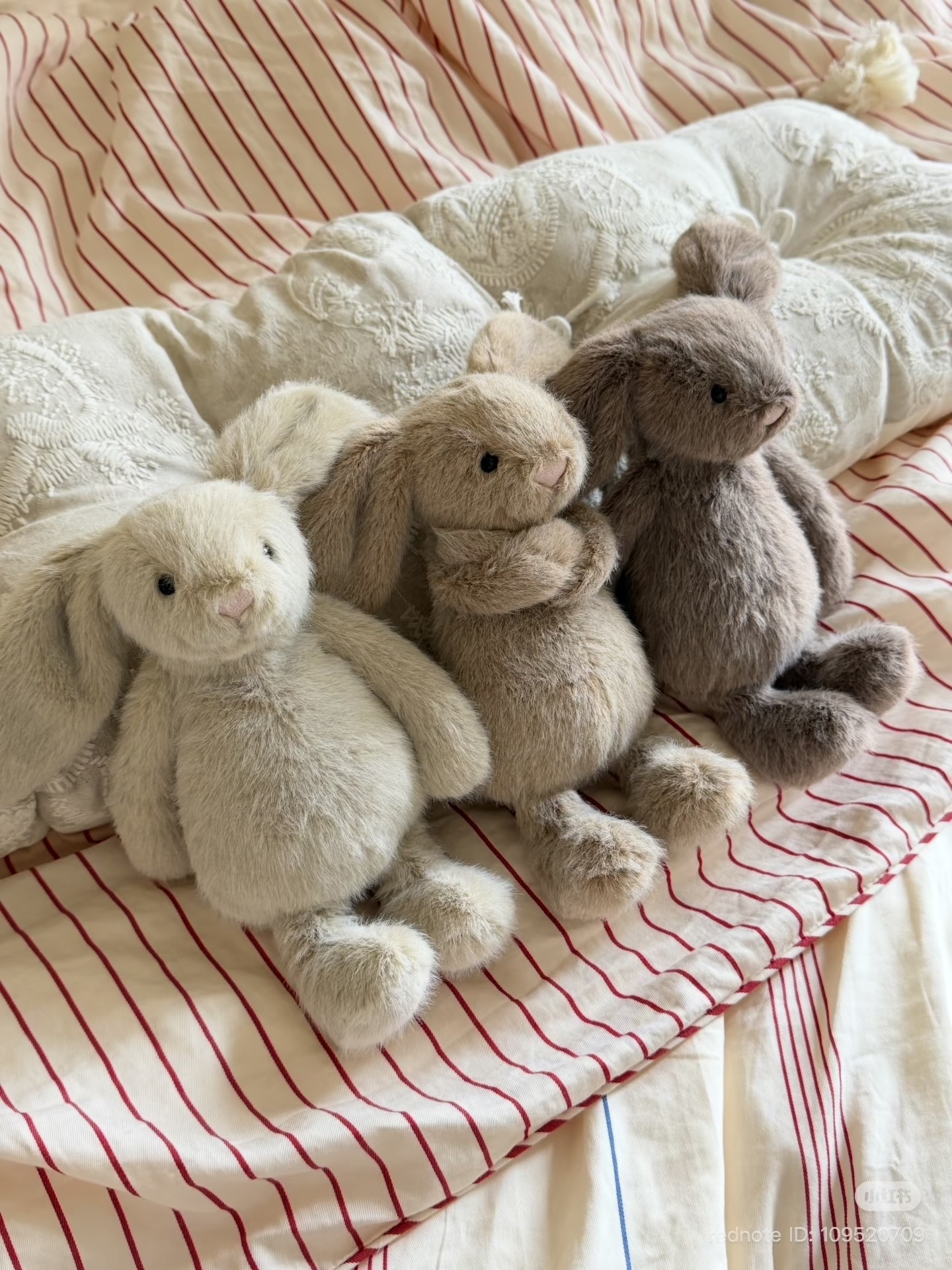 image_130FD635-EA5A-421D-B0FE-B78412283611_1772528677