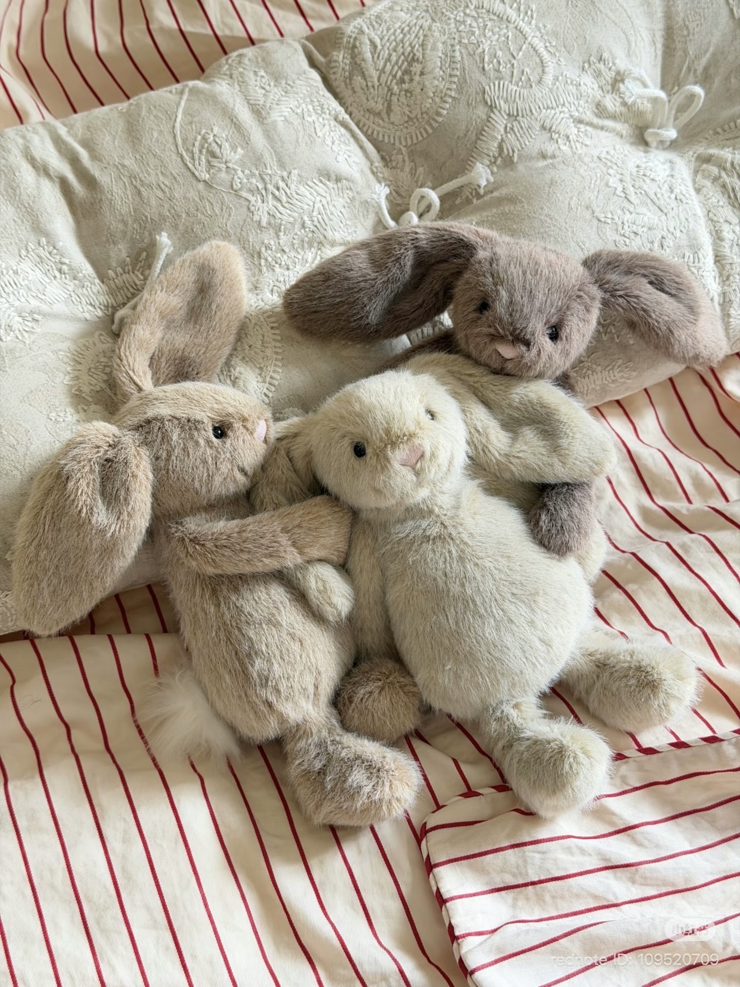 image_745CA4A4-16EB-4C5A-BB43-F72AC0F166AB_1772528677