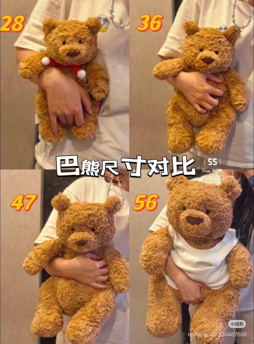 image_53870206-3CED-4C88-AA14-41FFAE685884_1772530122