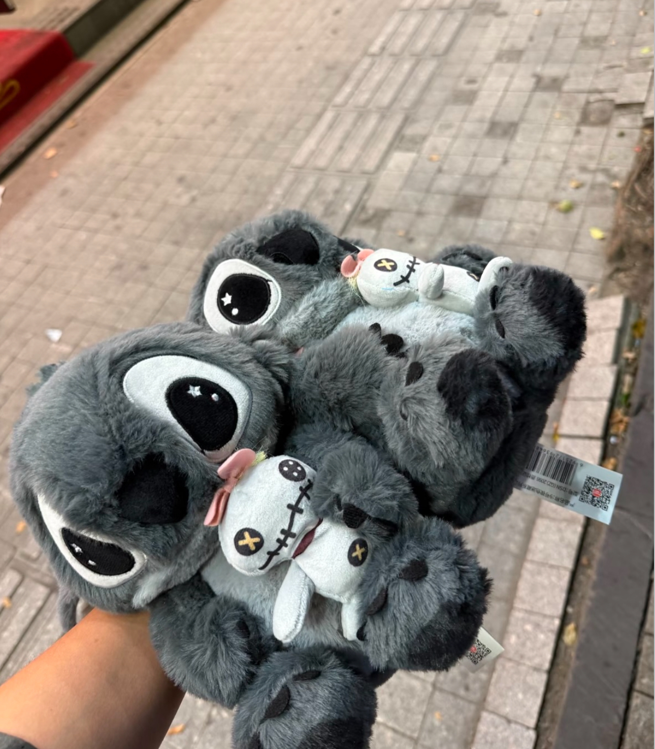 image_02BBC45B-D867-4A57-8CCC-FCED44F63DD4_1761627349