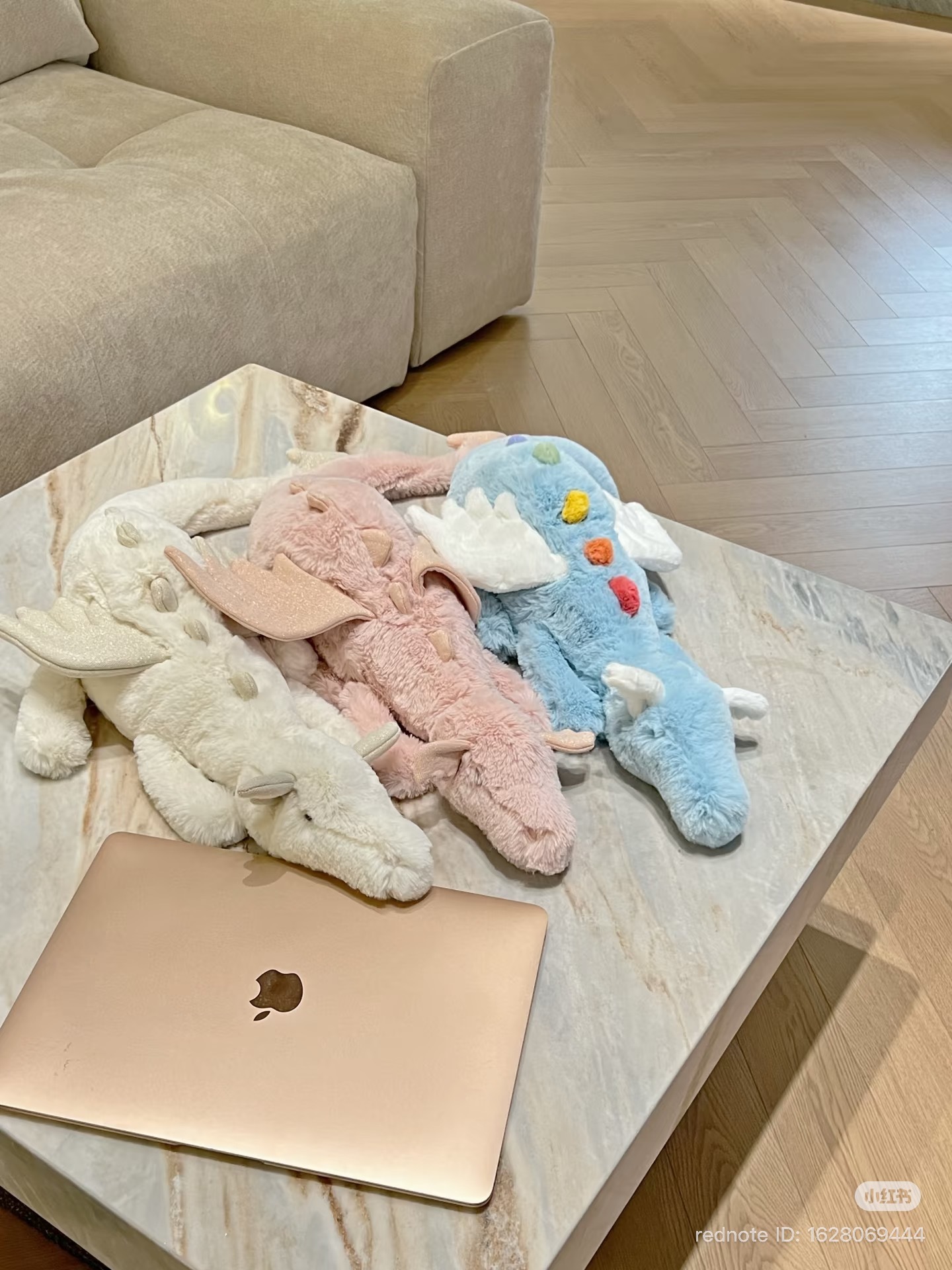 image_C777FB0D-D996-436F-8724-0B60A334C0DE_1772777885