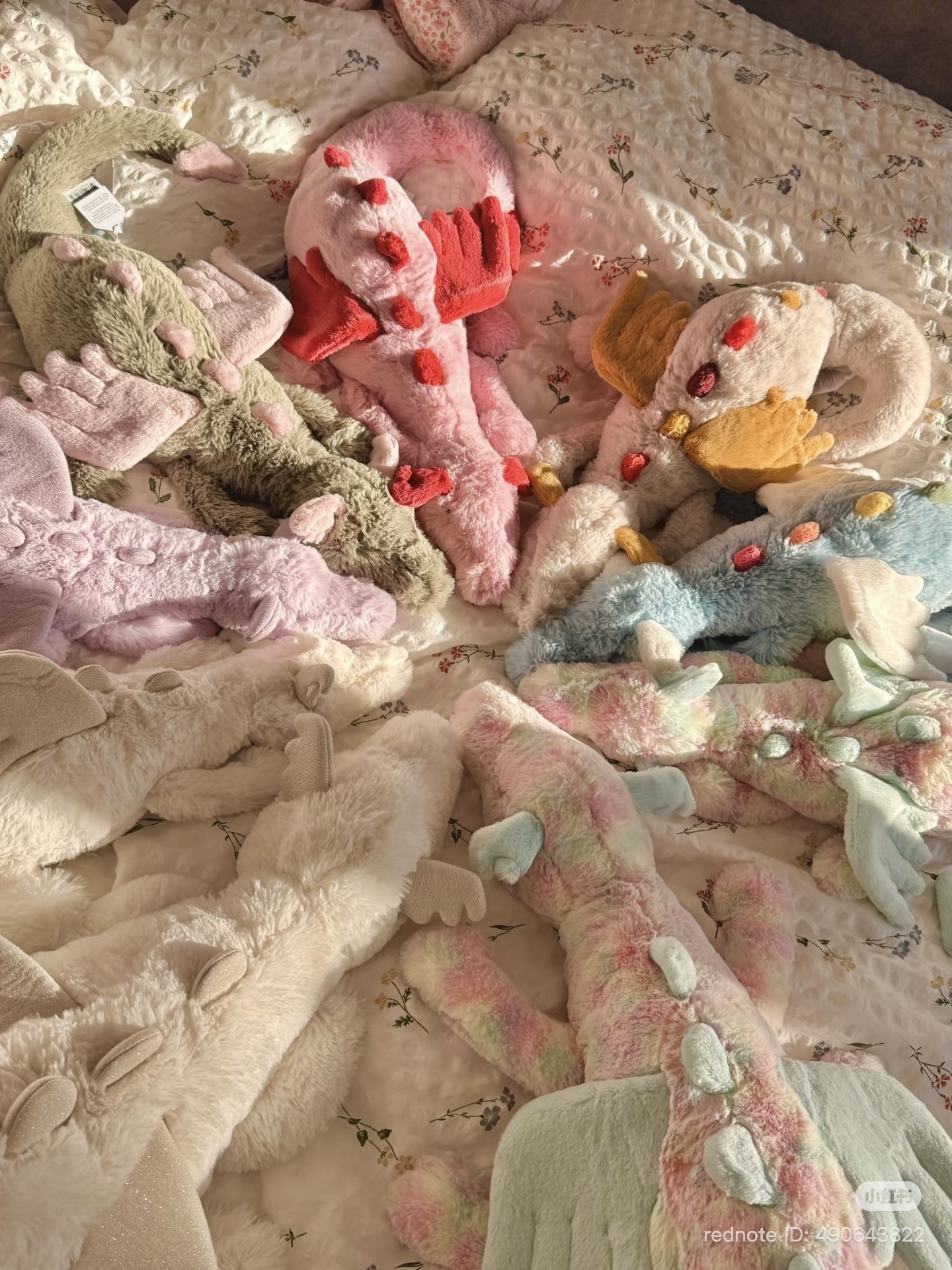 image_2C4C3ED7-7B27-4BF7-BD47-8B257BFB46ED_1772777885