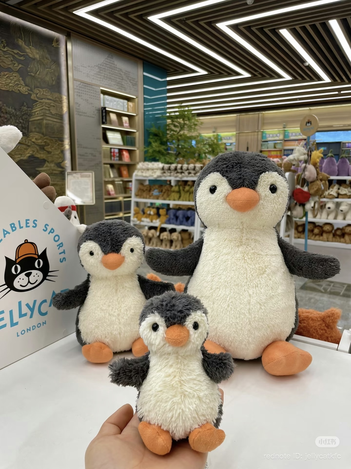 image_C740B4A2-FC85-49C7-A8D9-C5C1676B7D18_1772781854