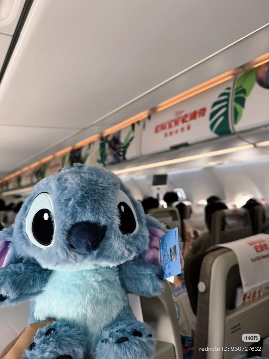 image_E428F822-C5E9-46AC-97F0-9EF2C6453CCC_1772968570