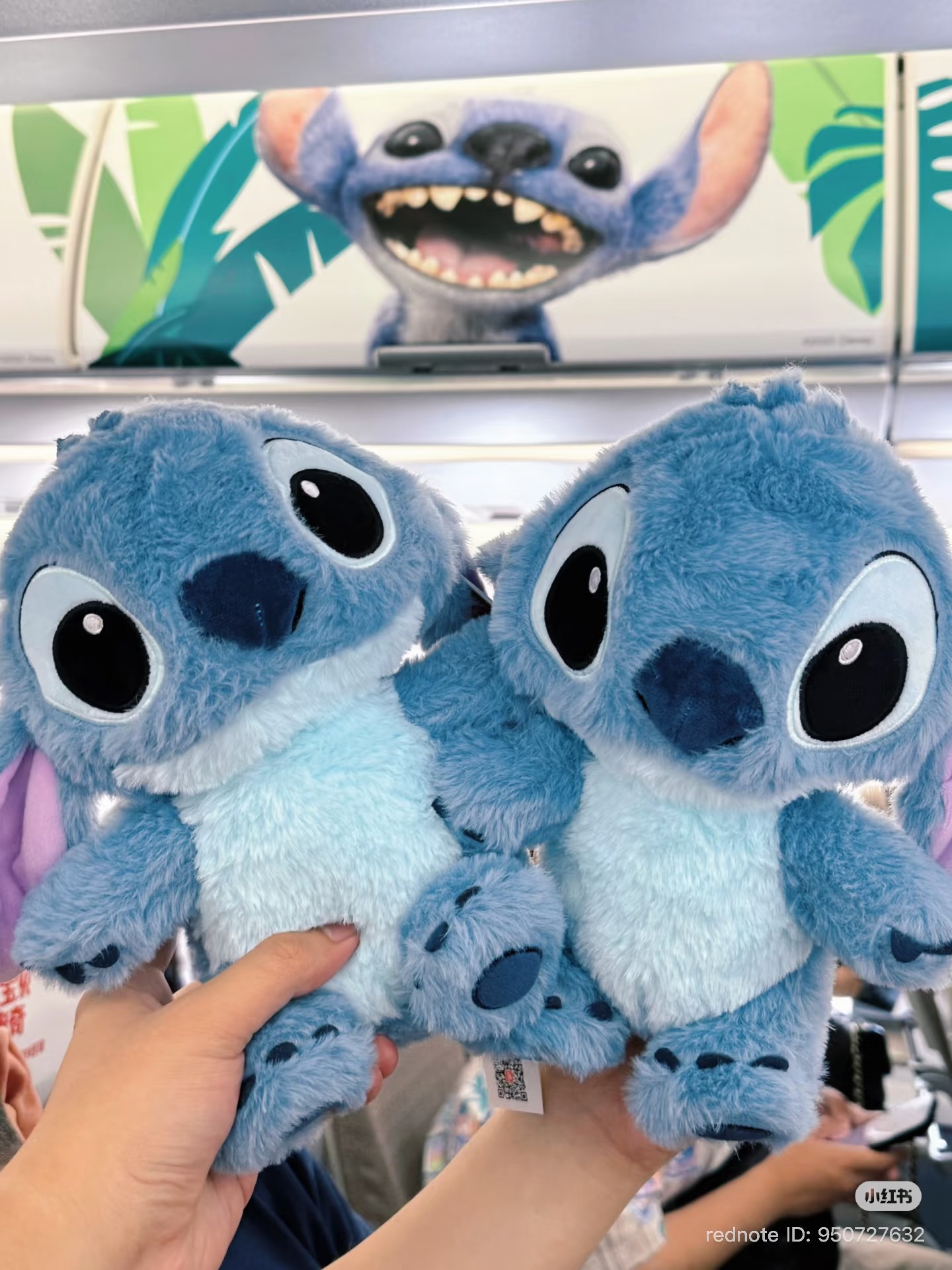 image_E40B224B-02AA-4949-B05F-B9592091DD1E_1772968570