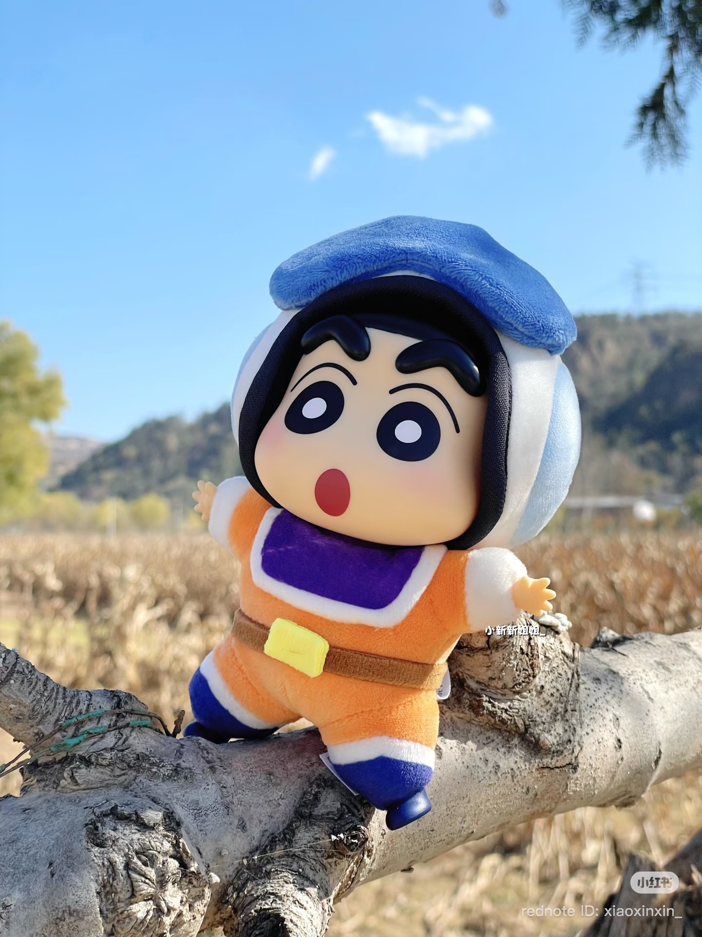 image_CDEDE387-4FDF-42C3-B2DC-920868000C0D_1772969484