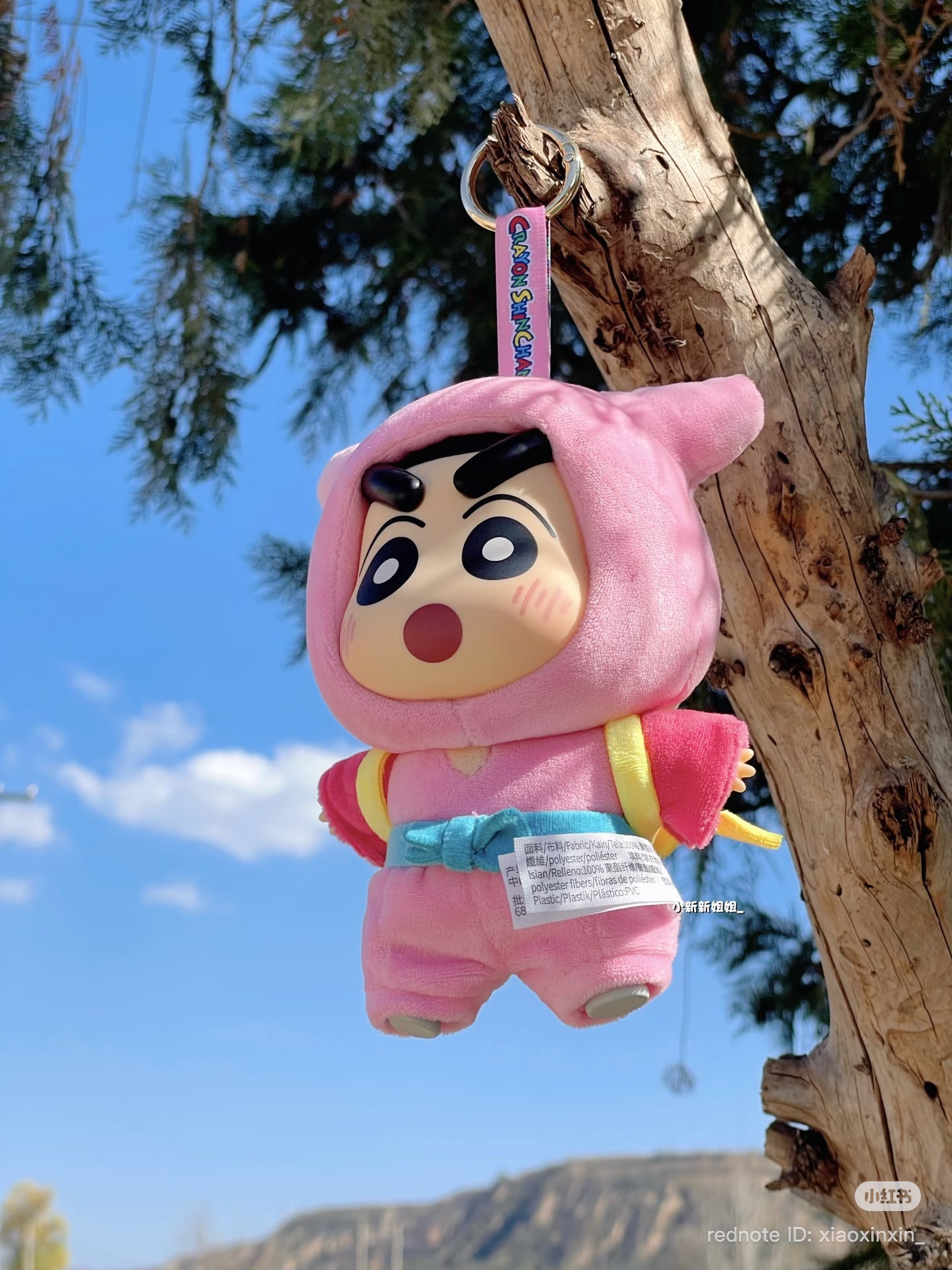 image_D52D37BA-435C-45E5-87A1-E841F2D1819B_1772969484