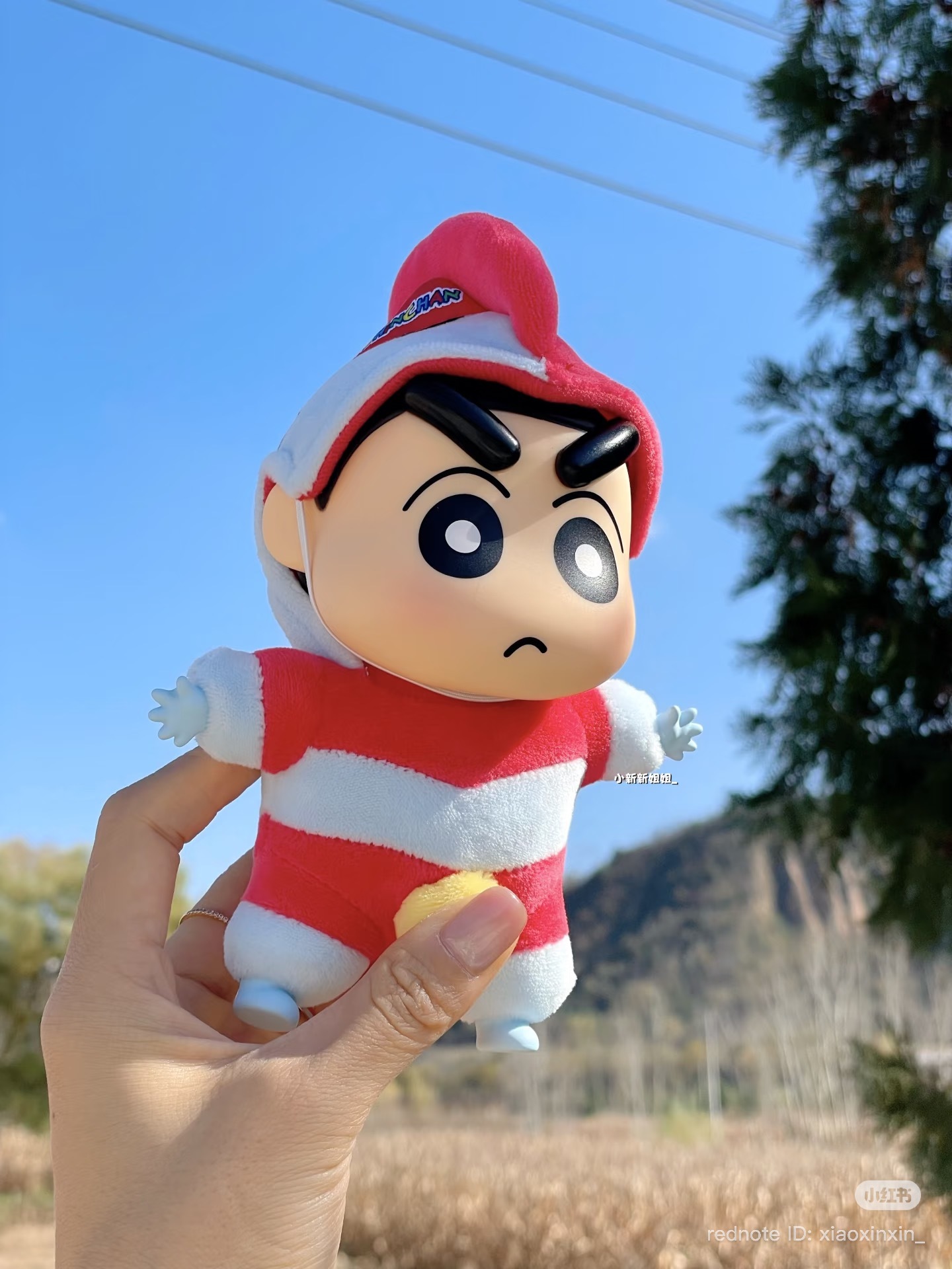 image_4E247D6E-8289-4221-8623-C94C4247F5D5_1772969484