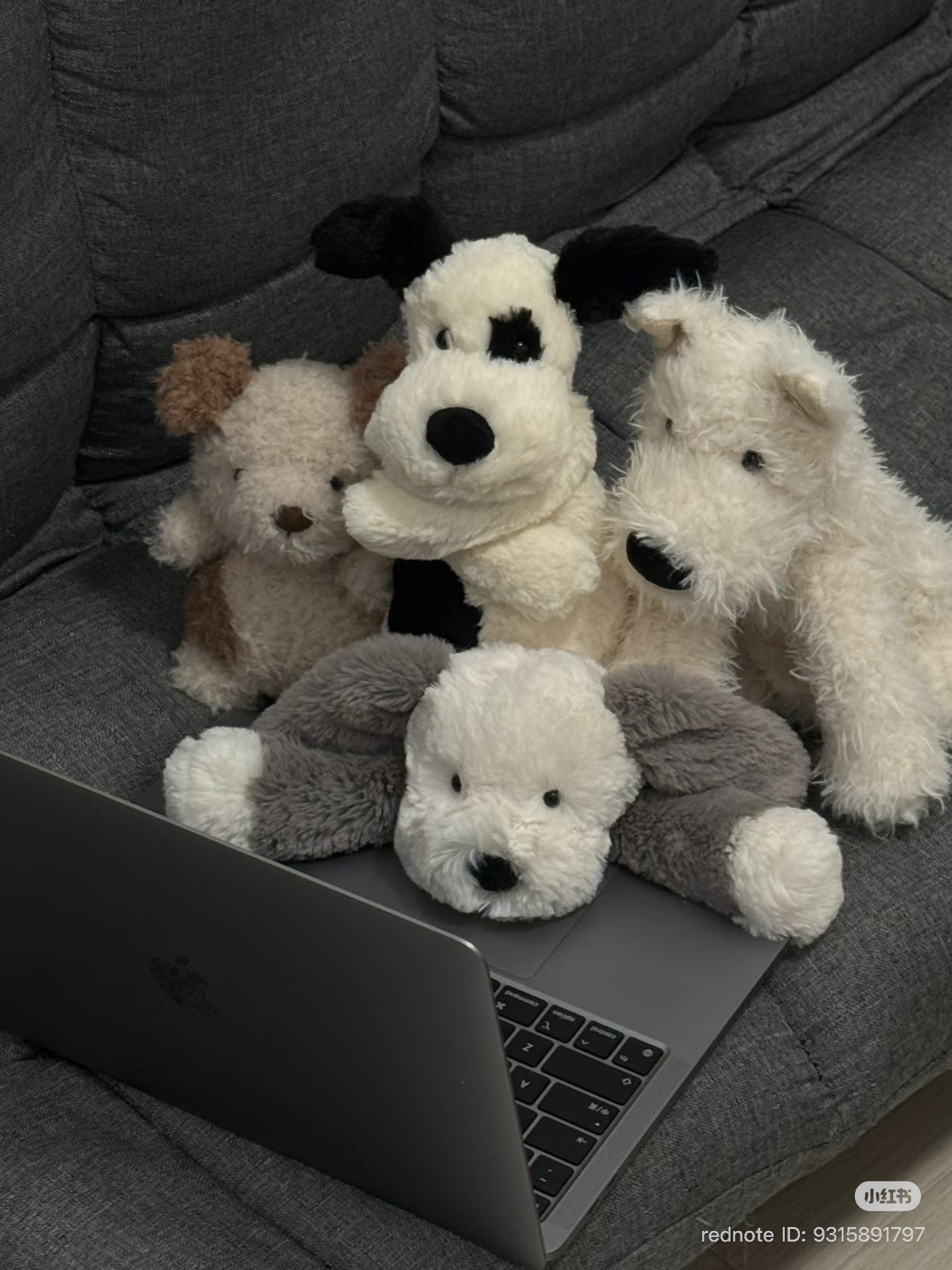 image_54157118-3467-4DE1-B78A-8ED2793B141B_1773048978