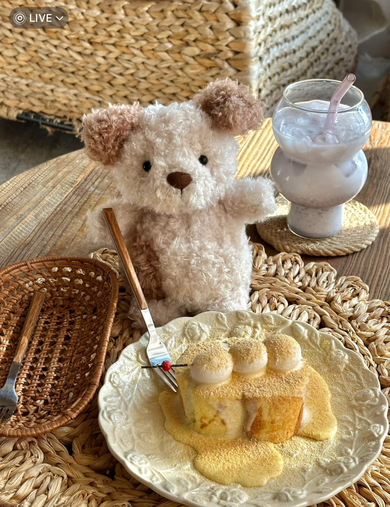 image_C6009F4E-A425-4272-913B-07858DAB02AA_1773049969