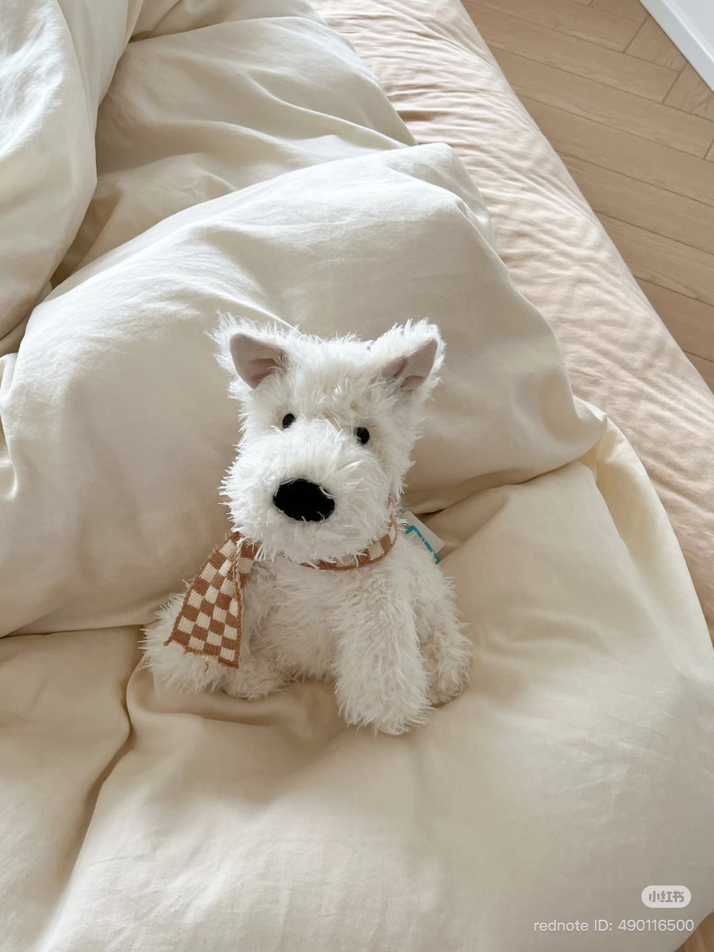 image_E2685E2F-BA6C-4593-A066-CAD89DE02B94_1773050317