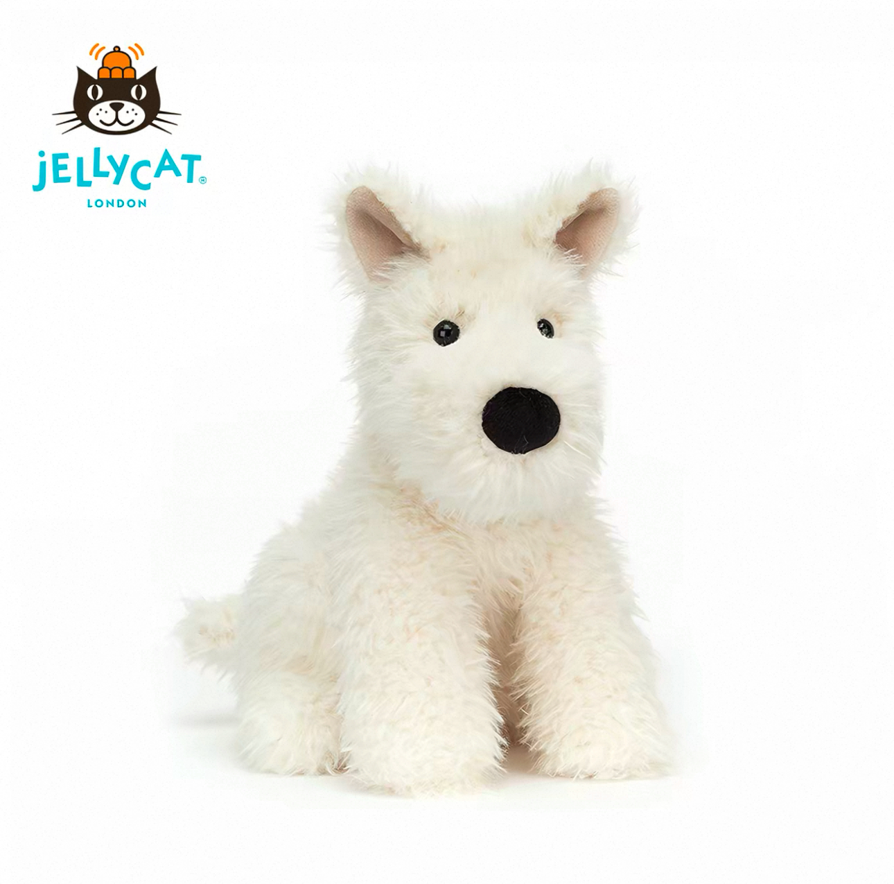 image_466B2716-DA2B-45B2-9E17-8C3FDC29DAAC_1773050317