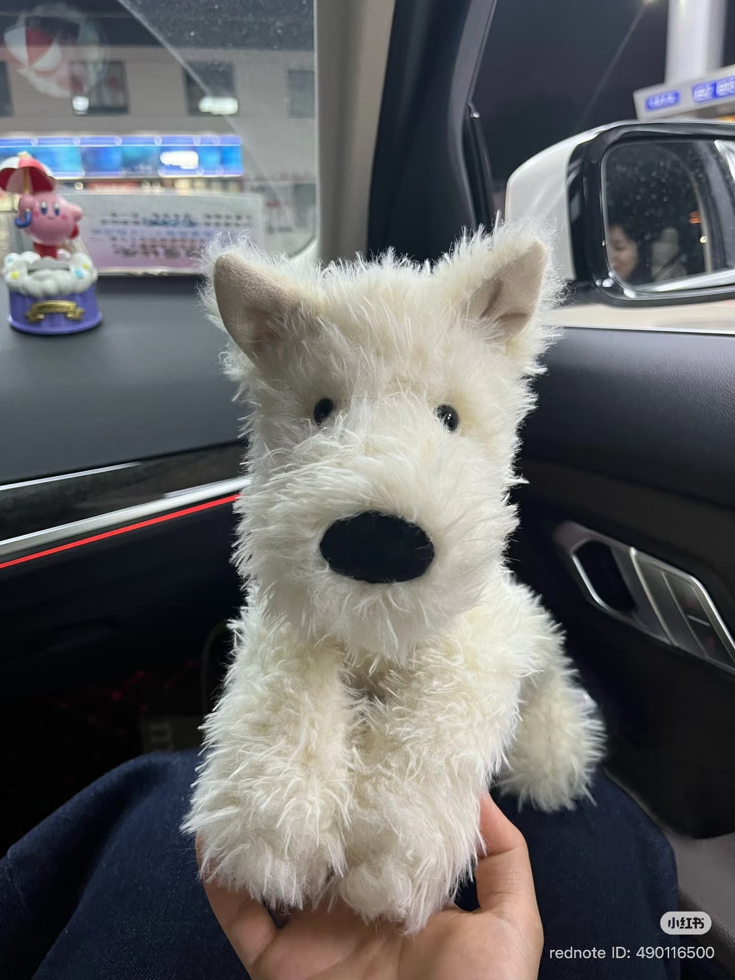 image_A00B531F-75C3-48E3-AE6D-B771CBAAEB5C_1773050317