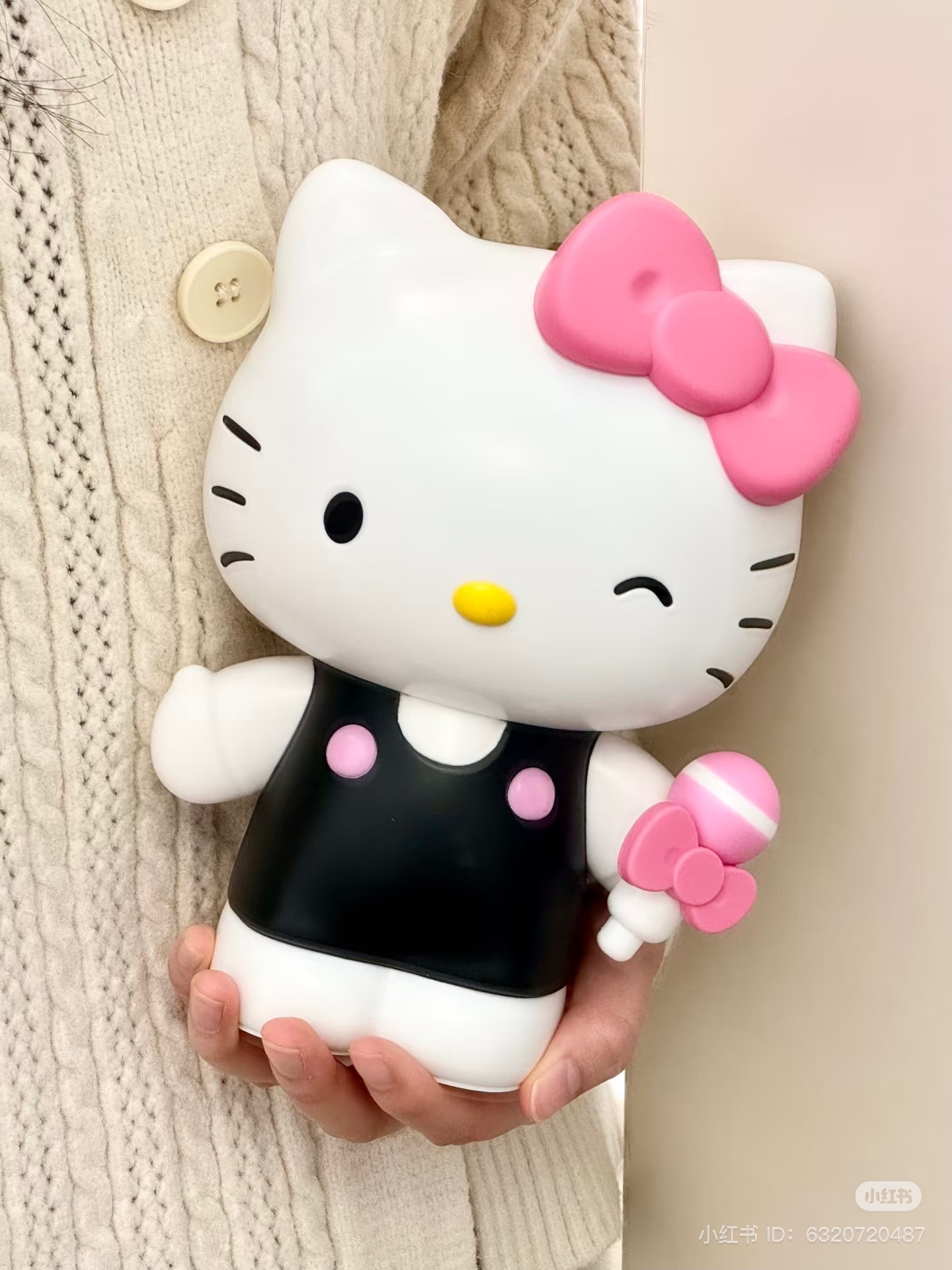 IMG_1720-1732536642206