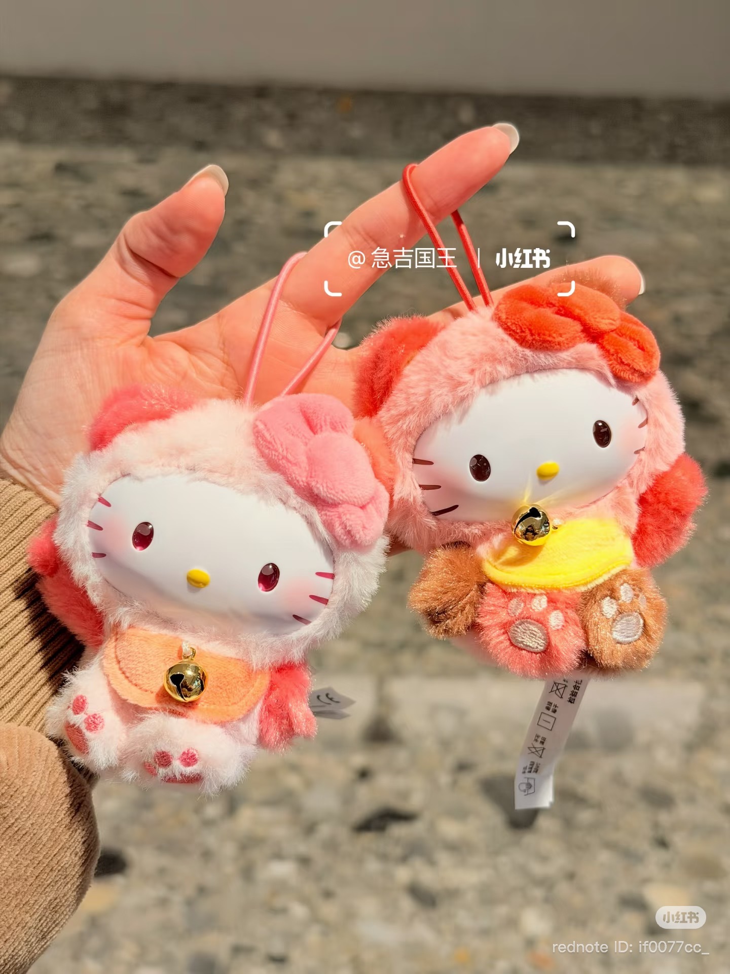 image_AC56FEDE-8DC7-4DC3-B440-53F05145D995_1773210931