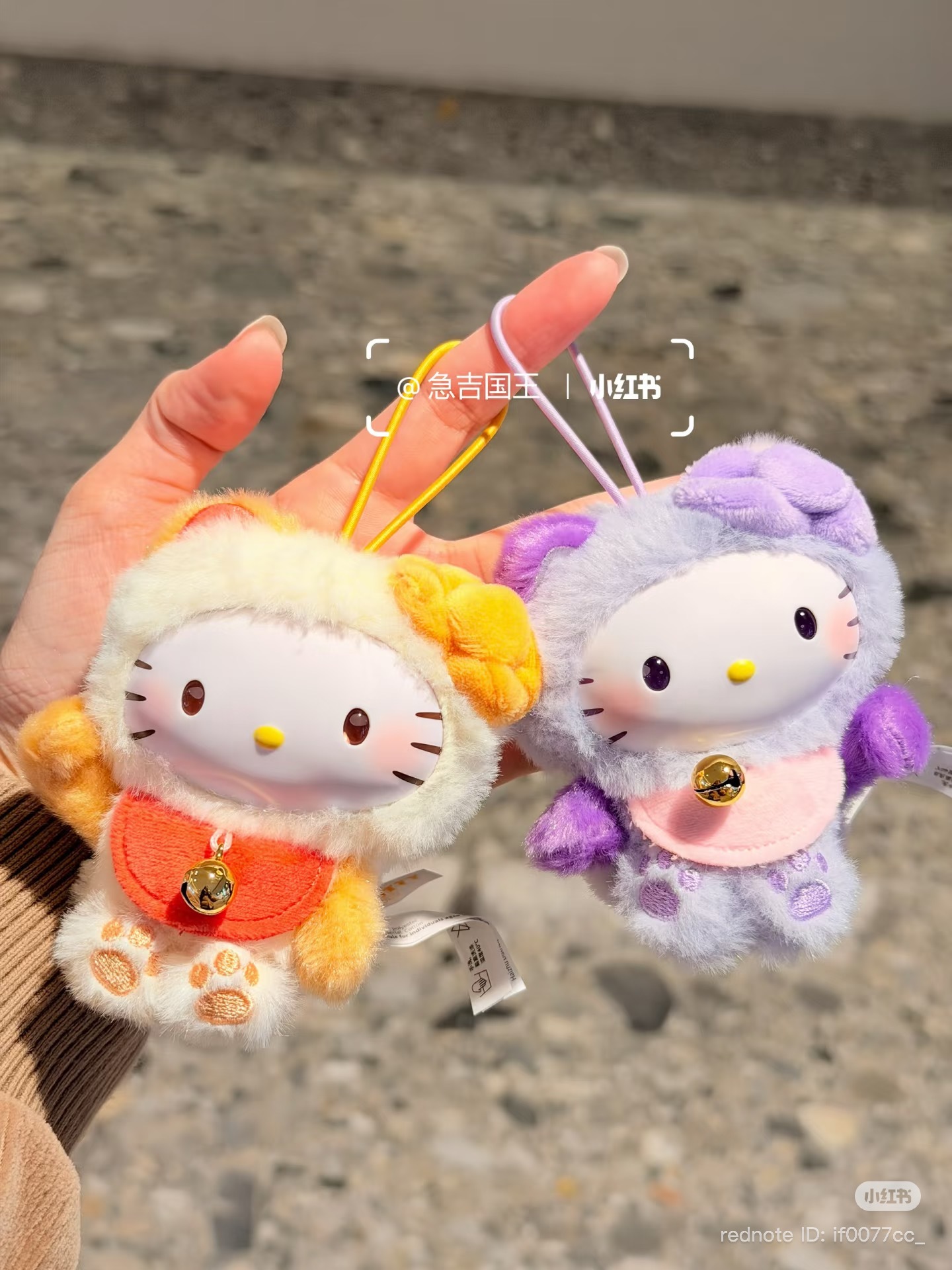 image_83100545-4E70-4879-A806-864B951ECF6E_1773210931