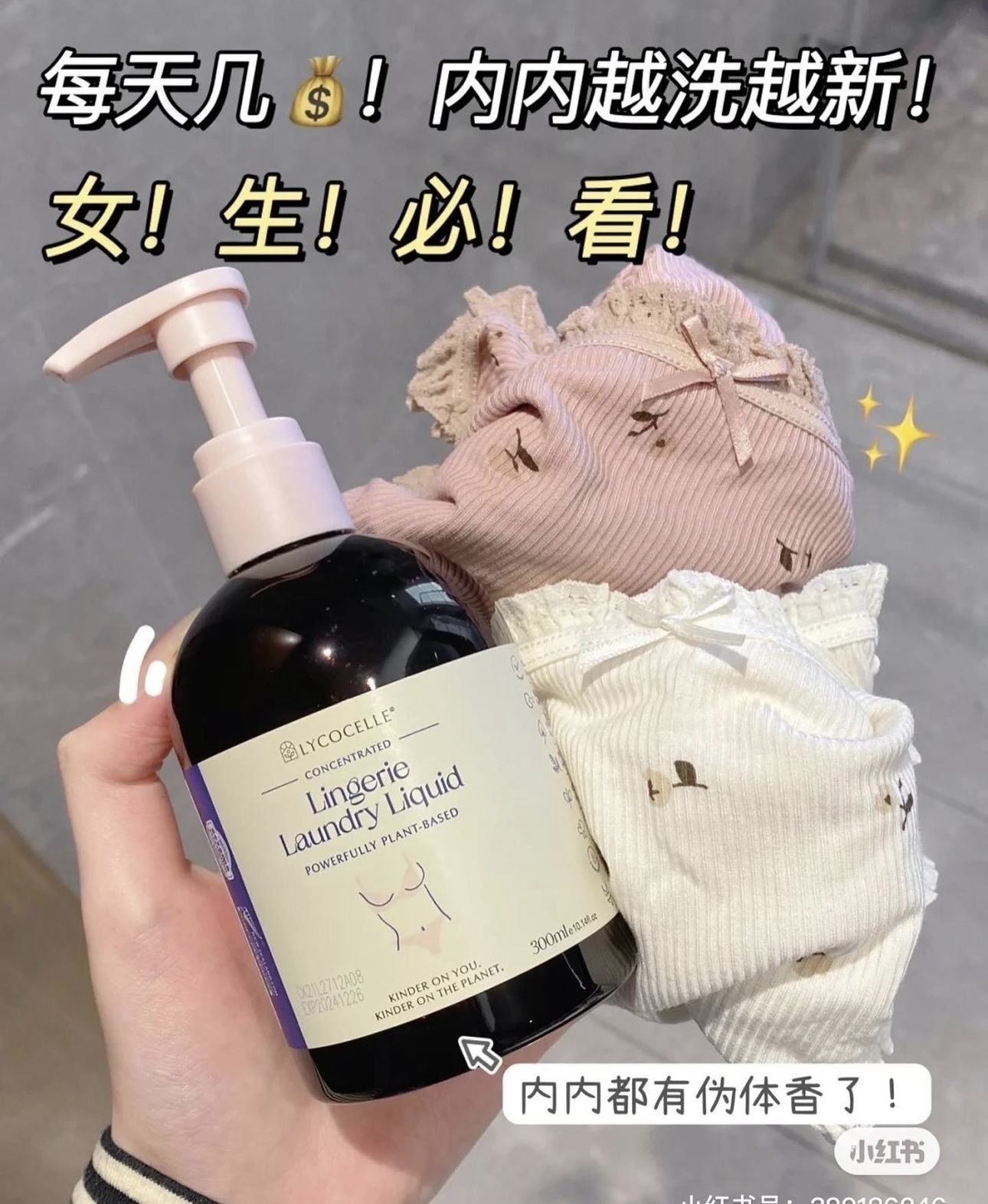 IMG_4286-1720273942911