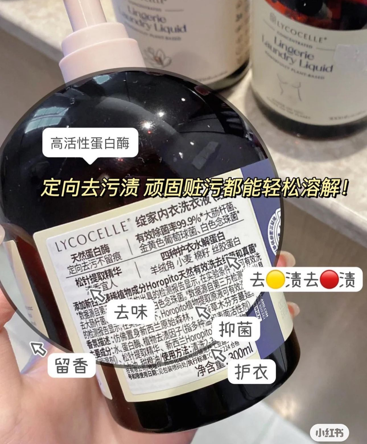 IMG_4291-1720273942940