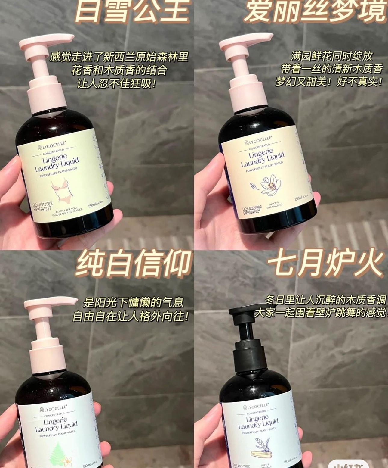 IMG_4295-1720273942975