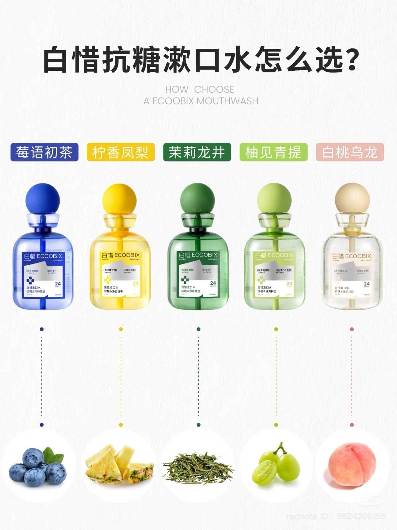 IMG_8903-1740491806402