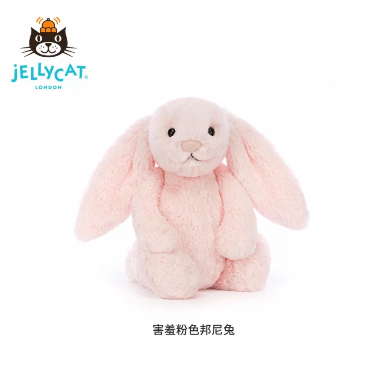 image_74B896A6-93D5-4505-B3F6-F49B857CB64F_1773746428