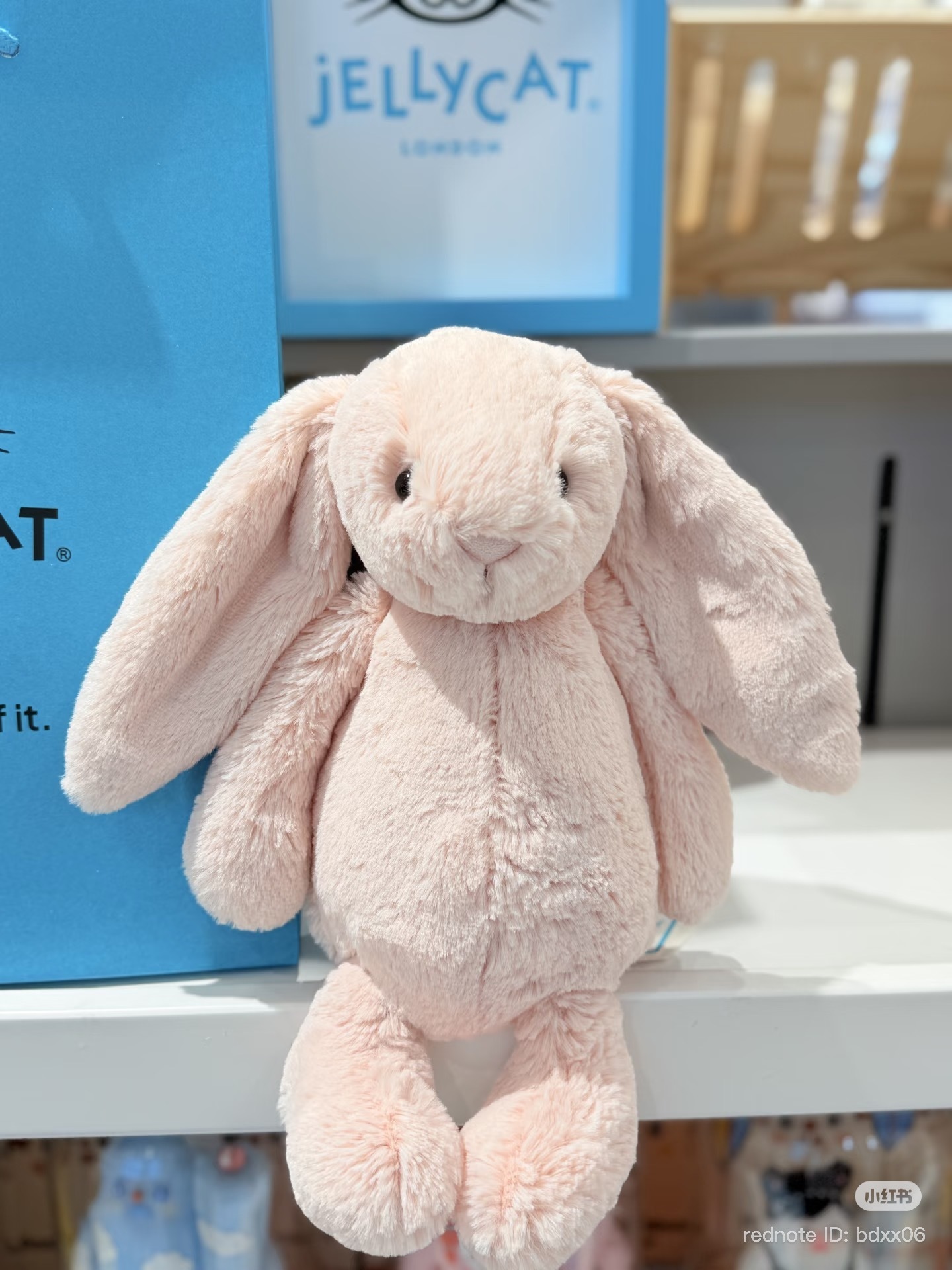 image_0D21A138-45A3-4A14-98A2-E3668A68E0A6_1773746428