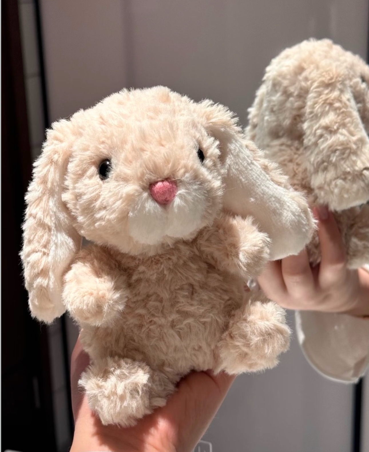 image_3A4B9233-742E-40DC-85CB-A7F697EE6A5F_1773914520