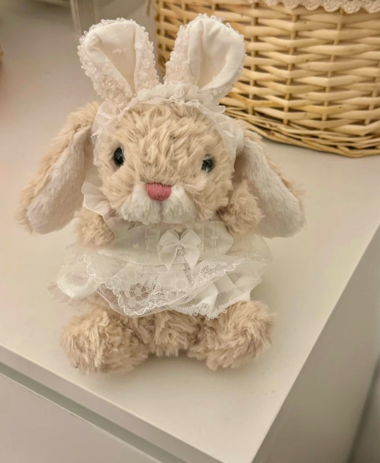 image_E67EC6FB-9696-4822-8553-B2F041135AF9_1773914520