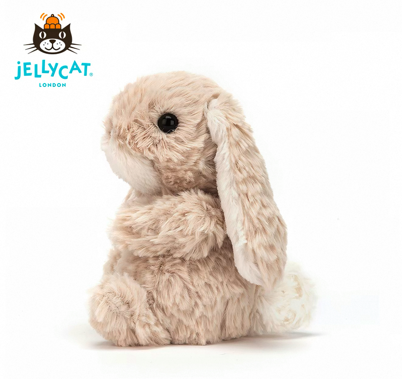 image_A16BC036-E6FC-475D-B0C6-CBFC8A1E7274_1773914520