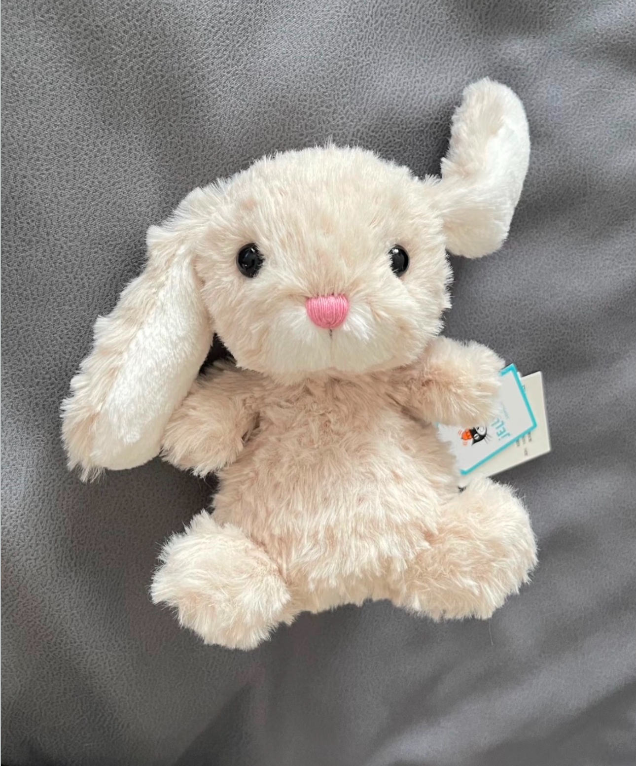 image_B070C35C-15B2-4A2D-A62B-CCE8F2E75898_1773914520