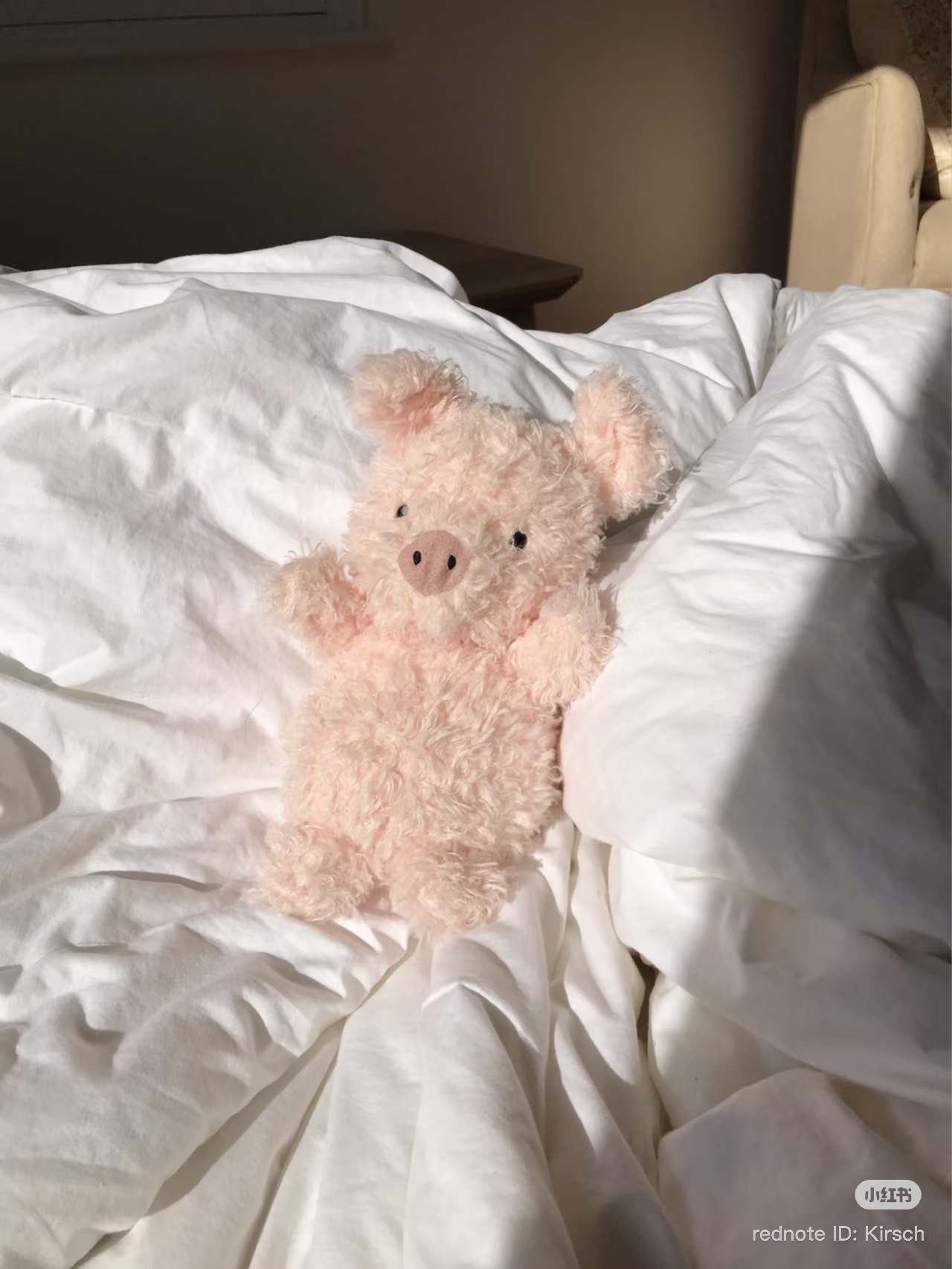 image_21987C18-E327-48CA-B80A-9E9EF20F74F0_1773915579