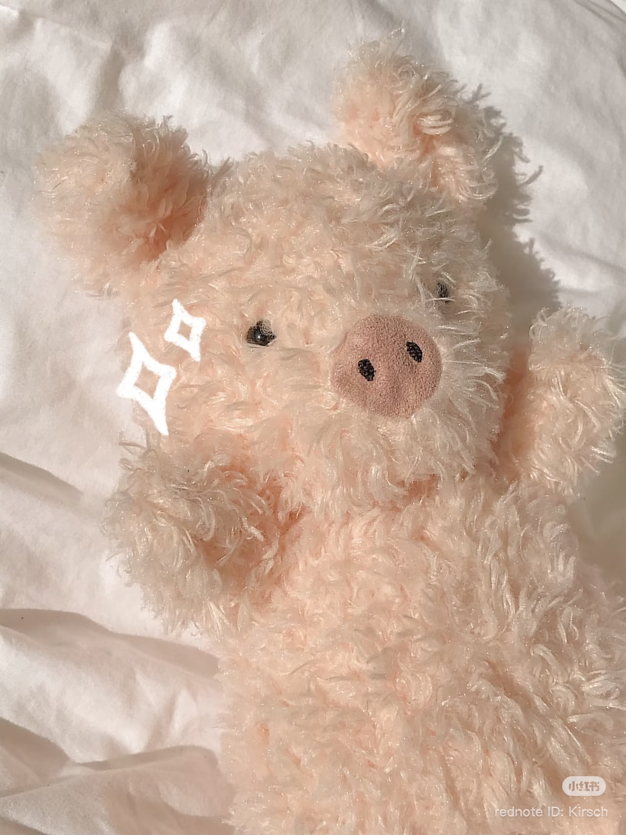 image_C83E3787-7354-4966-AC9C-F5D3F353D297_1773915579