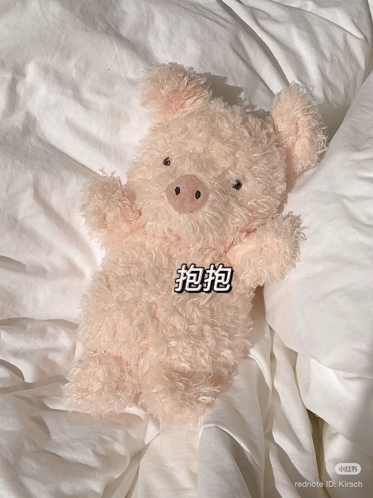 image_8DD8E525-F60B-486C-8CB7-03836C467FBE_1773915579