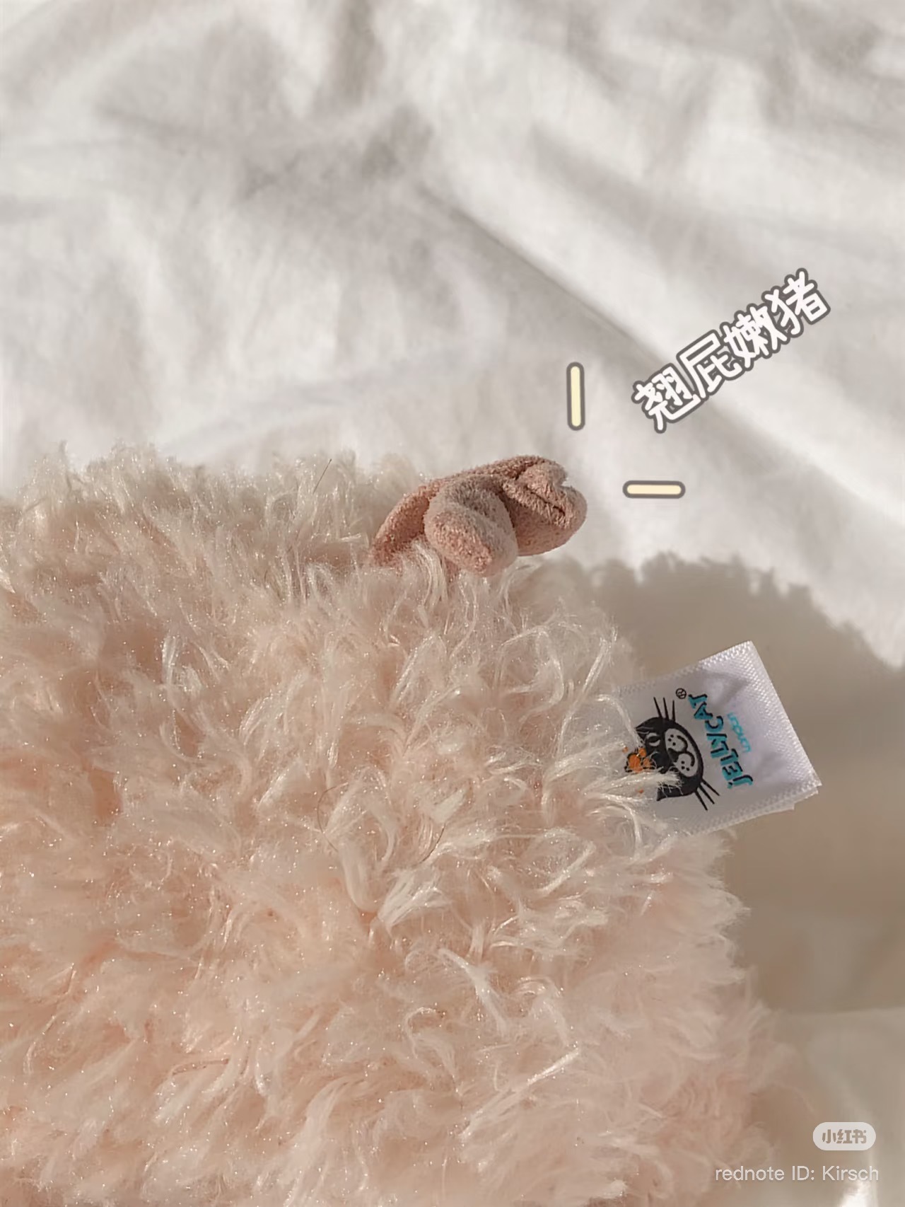 image_4A949413-9BC6-4029-B261-00118F85DD68_1773915579