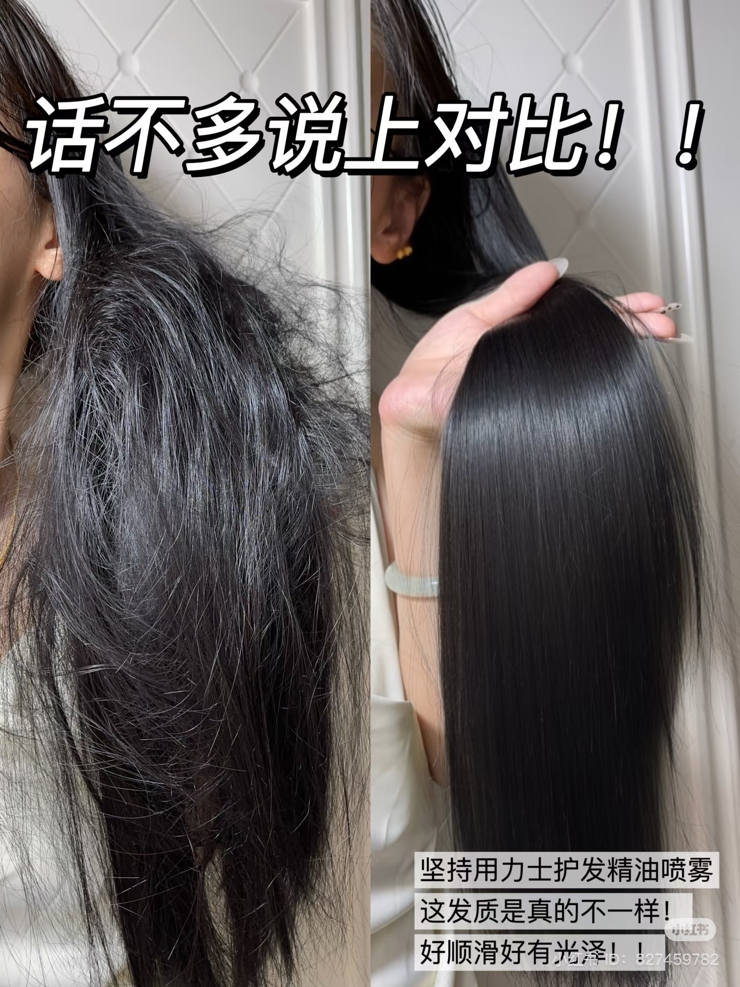 IMG_7772-1735034875014