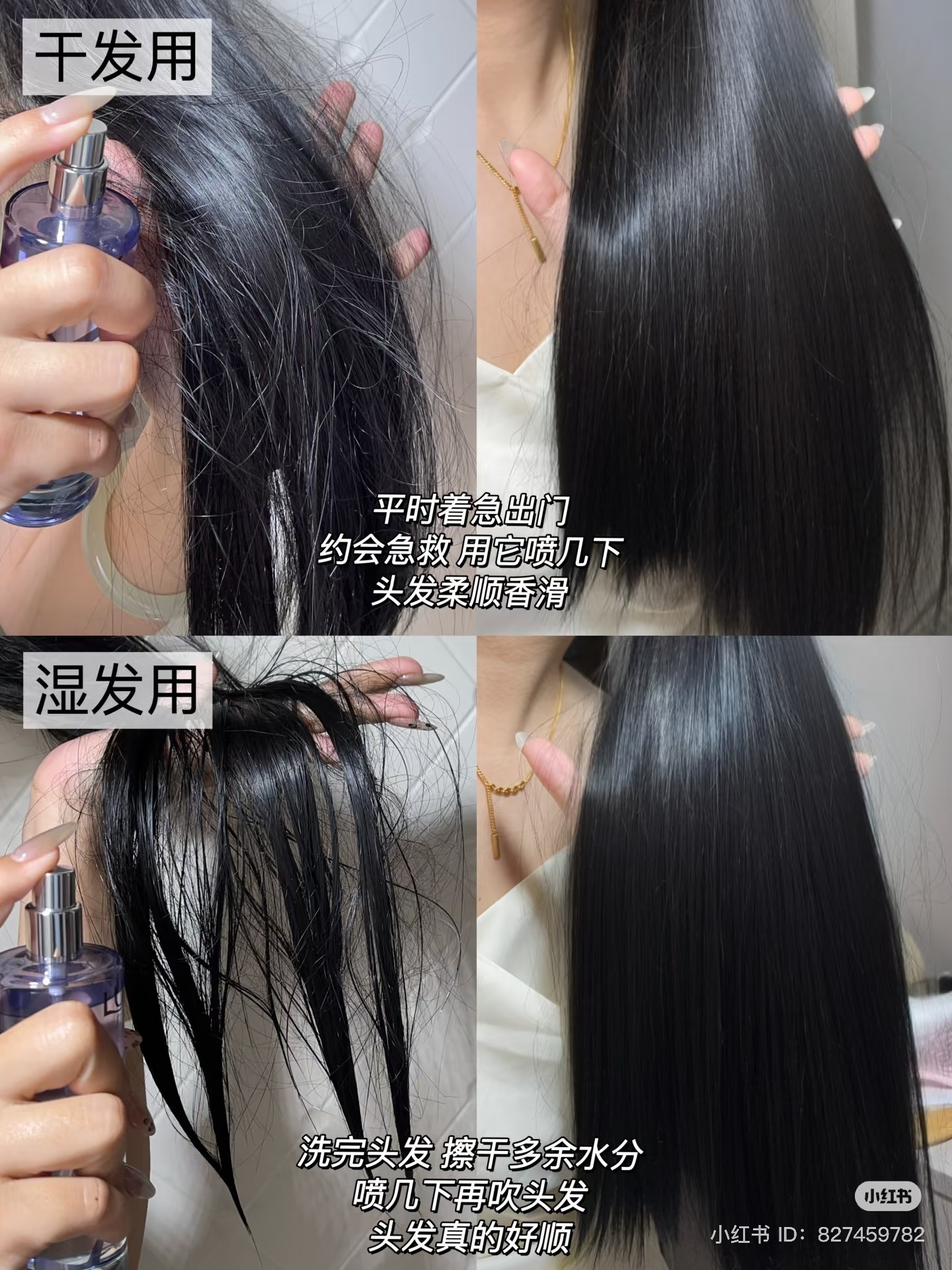 IMG_7774-1735034875039