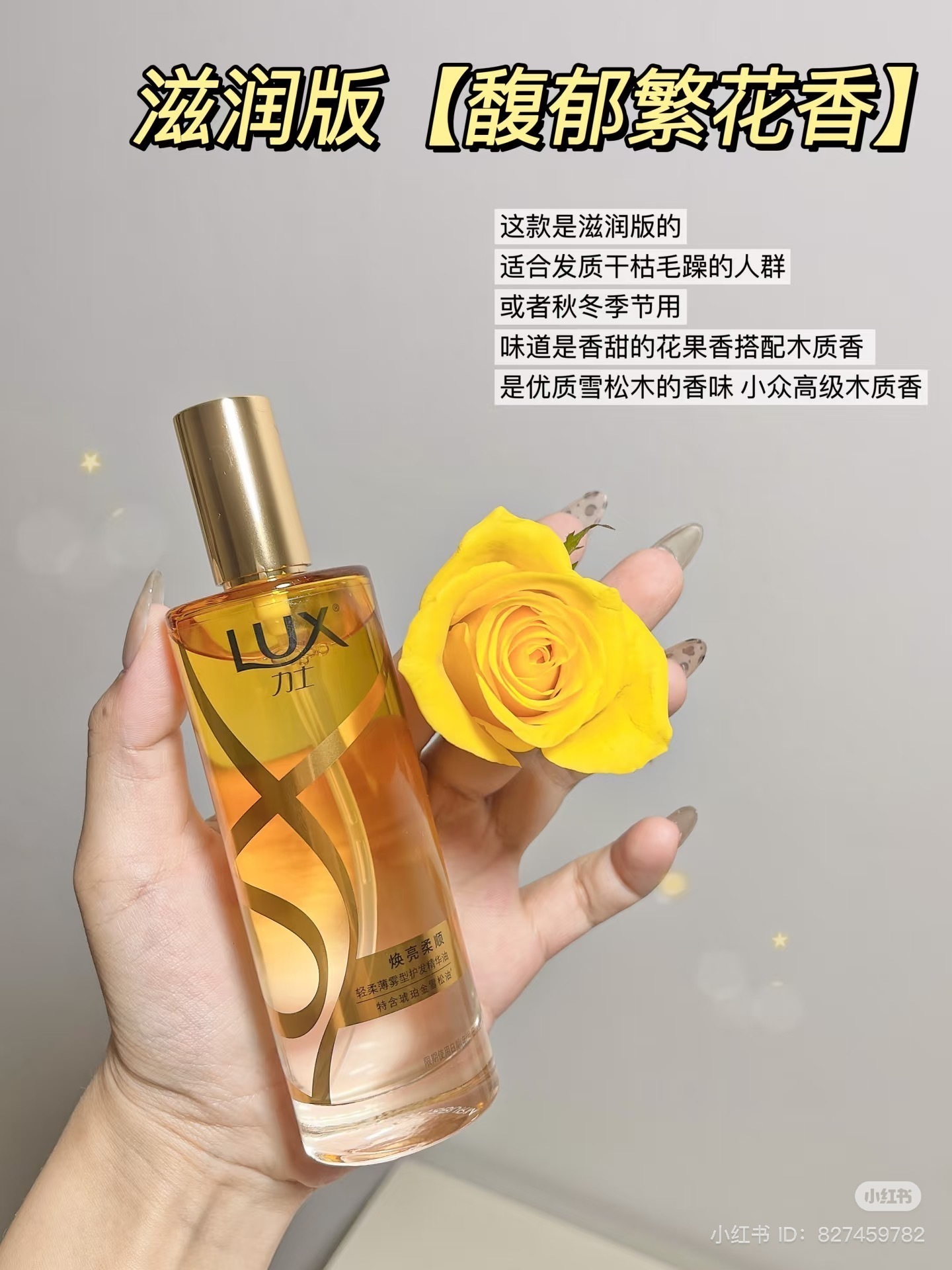 IMG_7776-1735034875049