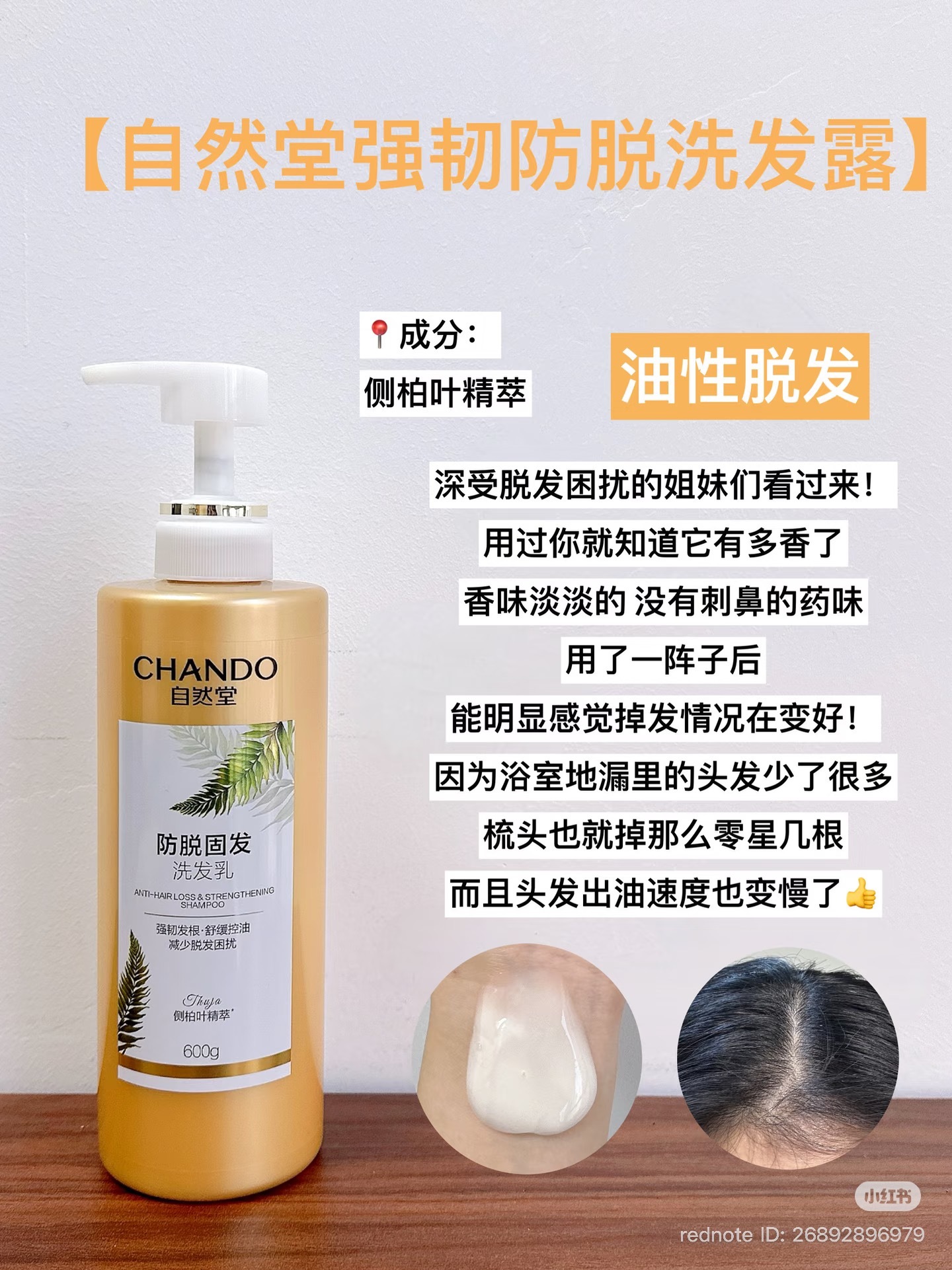 image_699E0289-0FA2-4E96-819C-04CFA302820D_1774066079