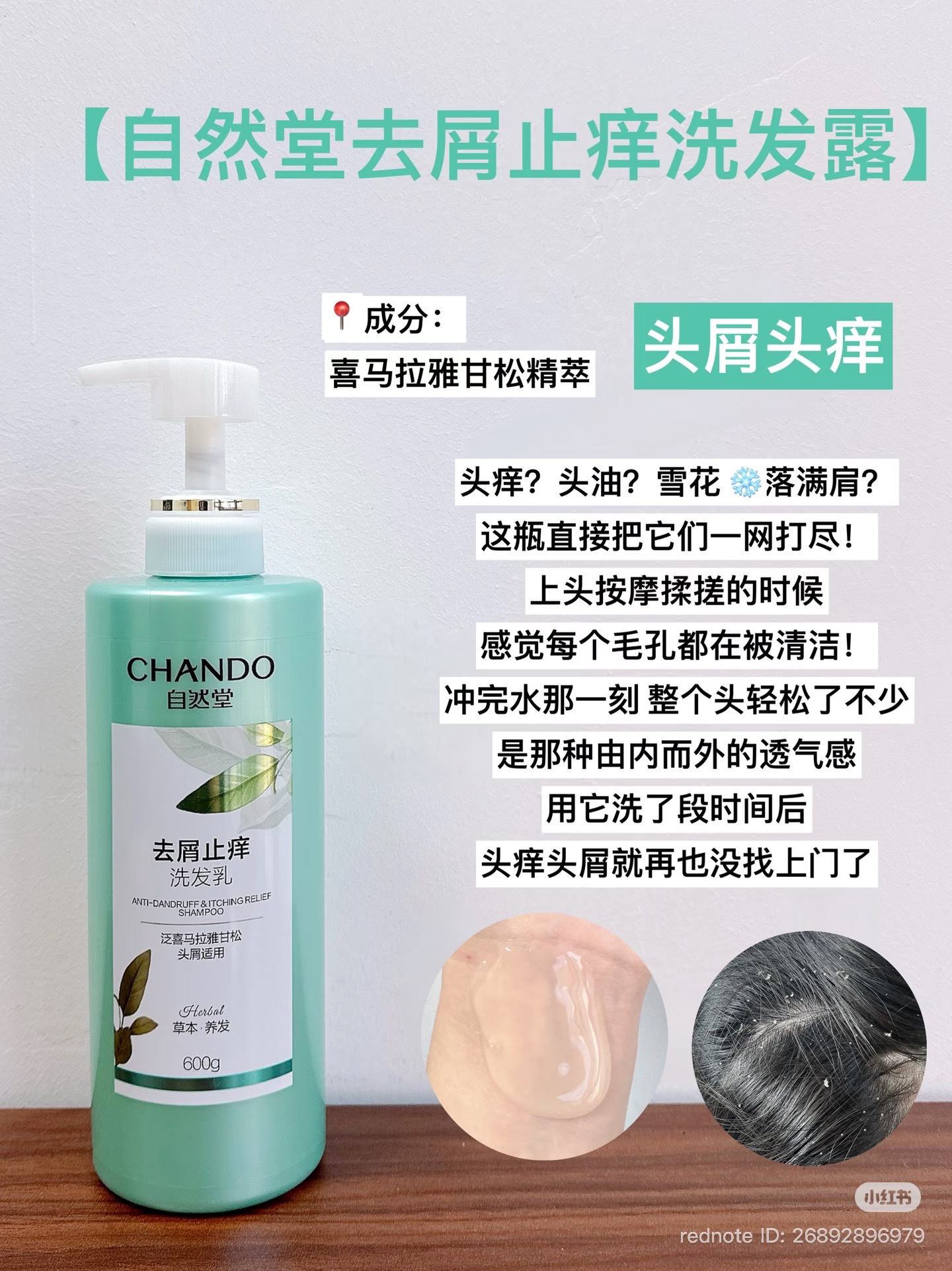 image_65453B71-8E22-440C-9B8B-10201849BC58_1774066242