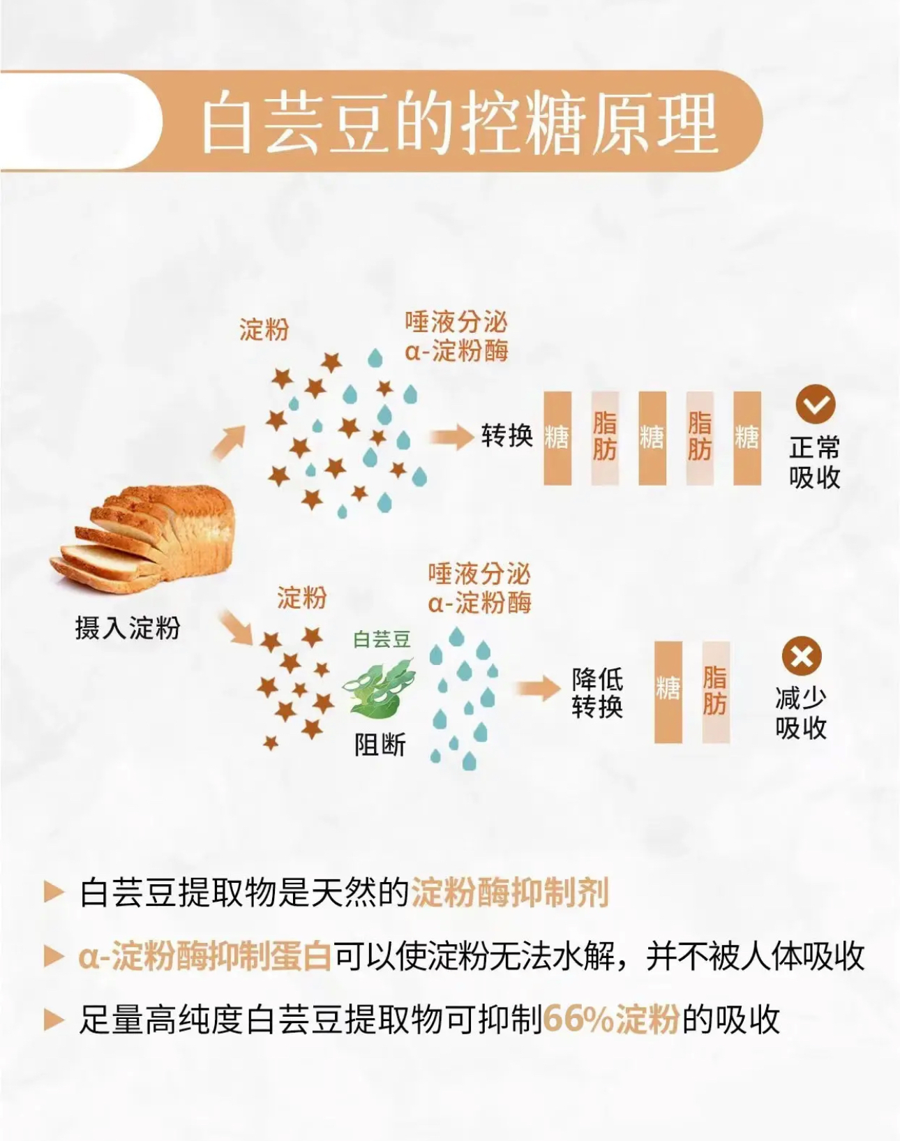 IMG_0757-1727600510836