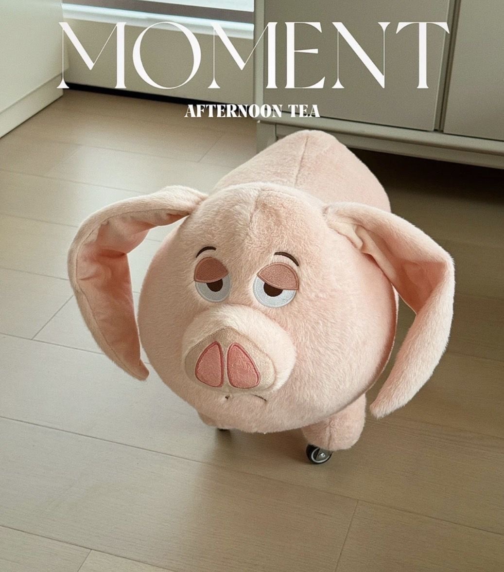 image_A9F62583-DDE0-45A1-92B8-510034C0456E_1757139156