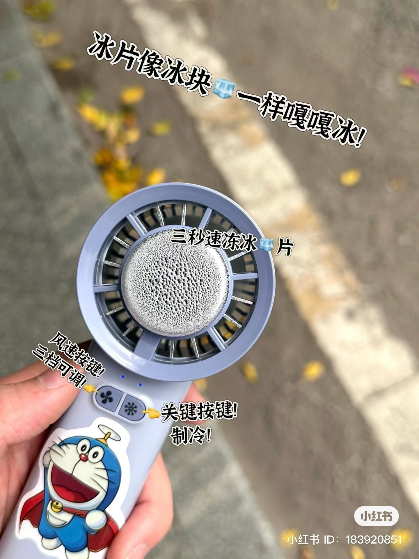 IMG_2907-1726573745536