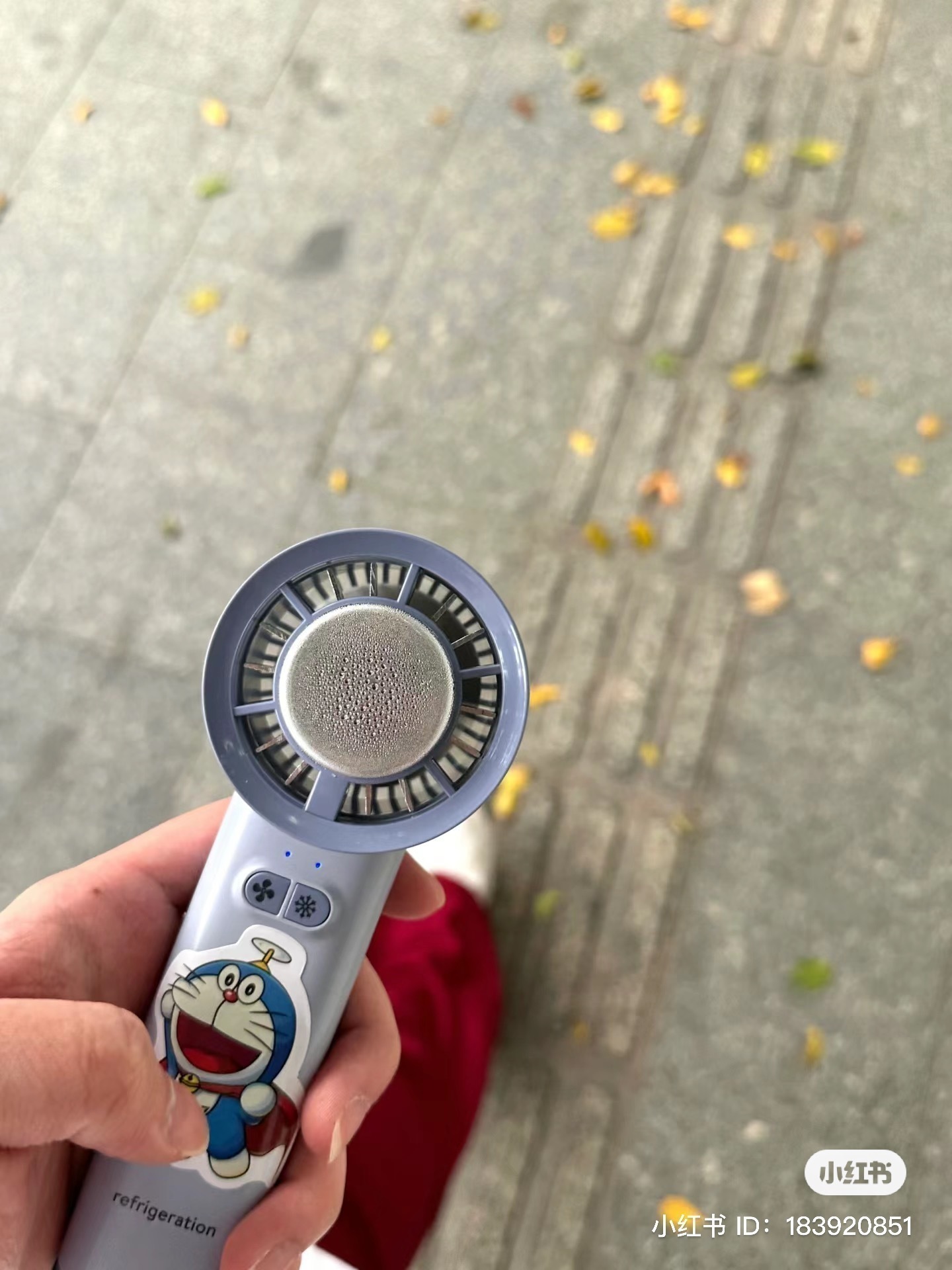 IMG_2909-1726573745553